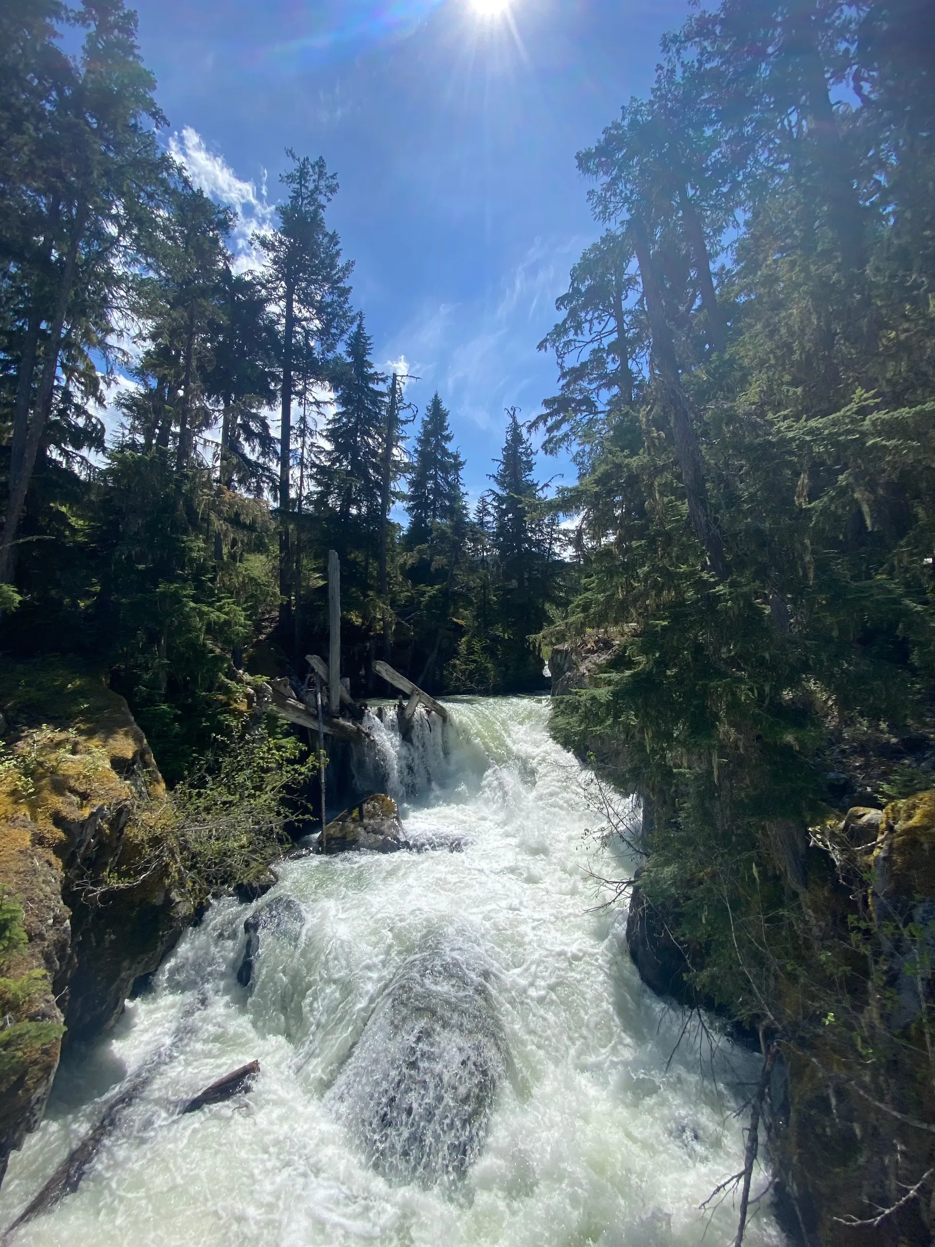 Yasmine OnlyFans header