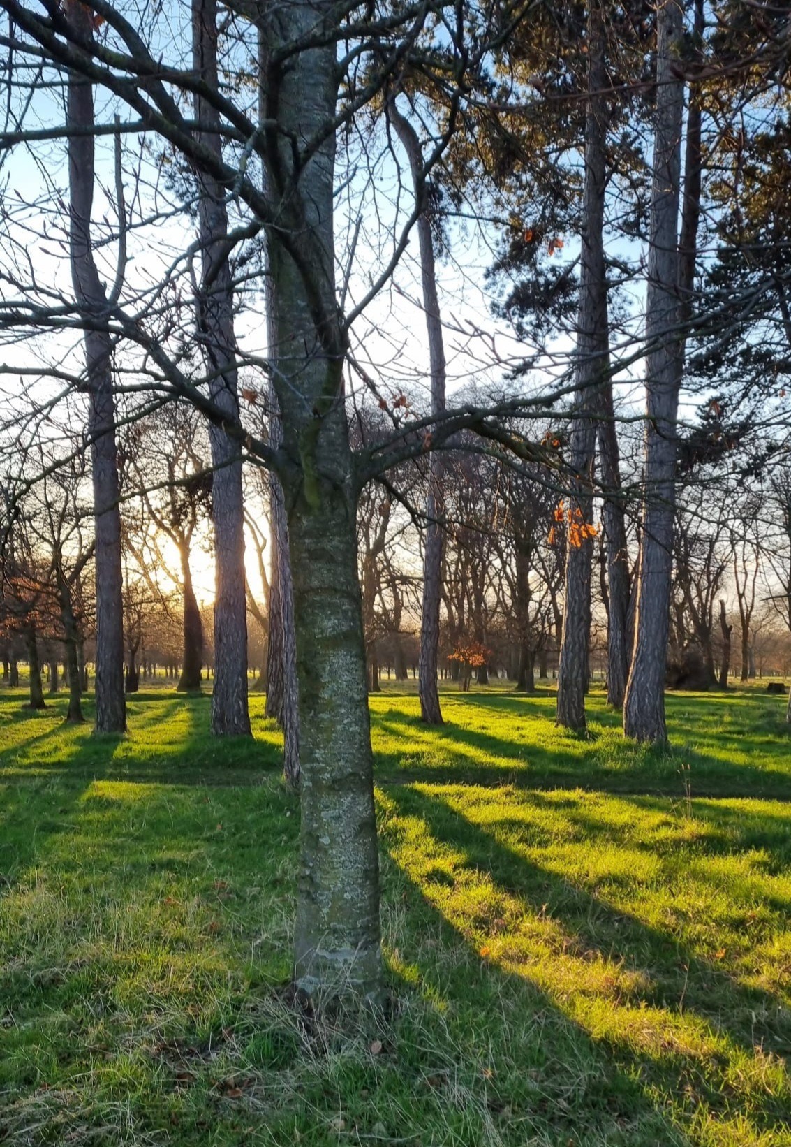 Leanne Power OnlyFans header