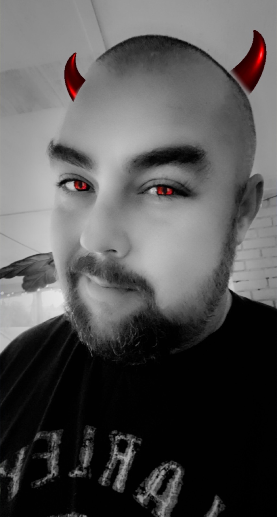 Yogi OnlyFans header