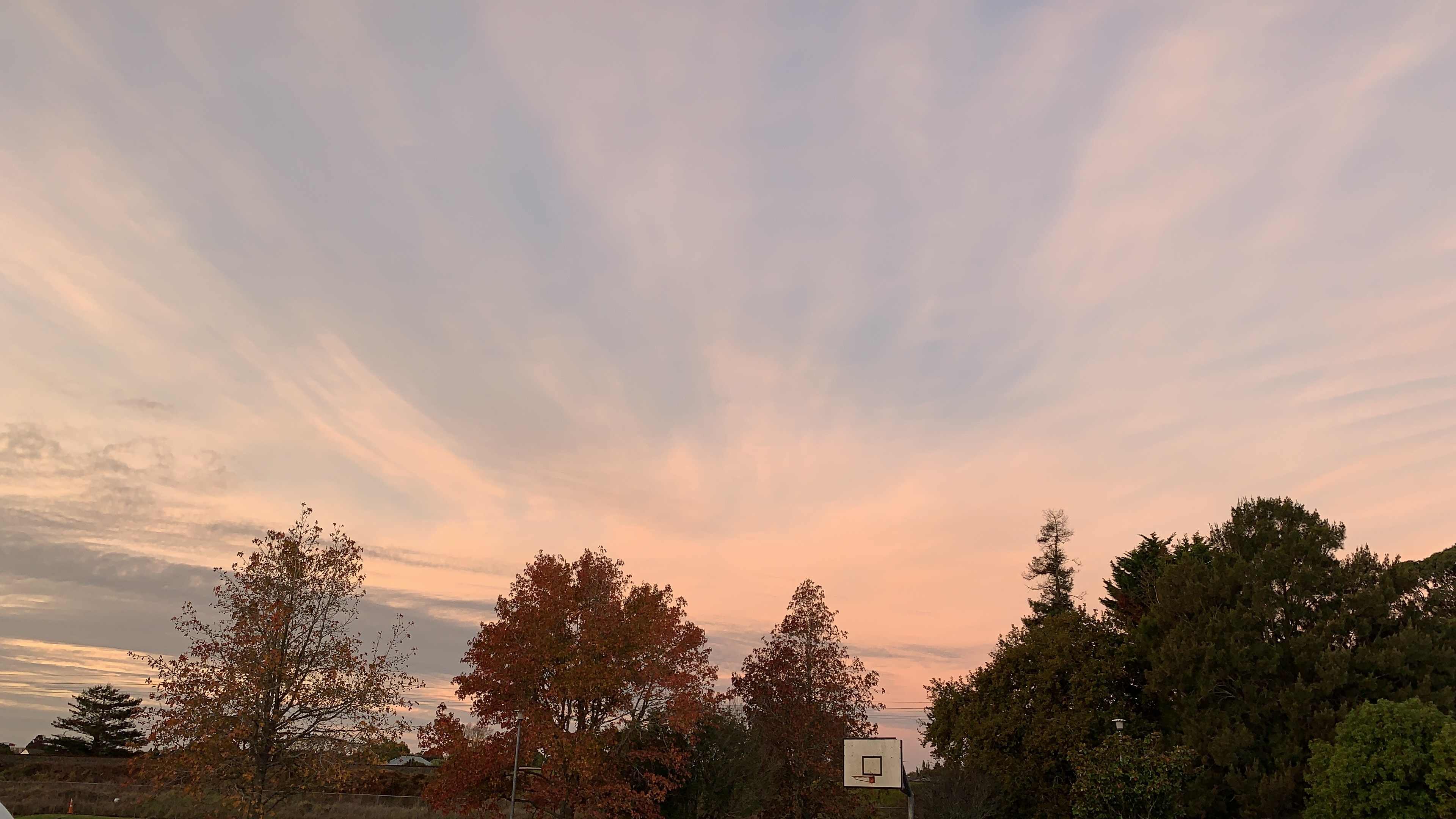 Yogurtpop OnlyFans header