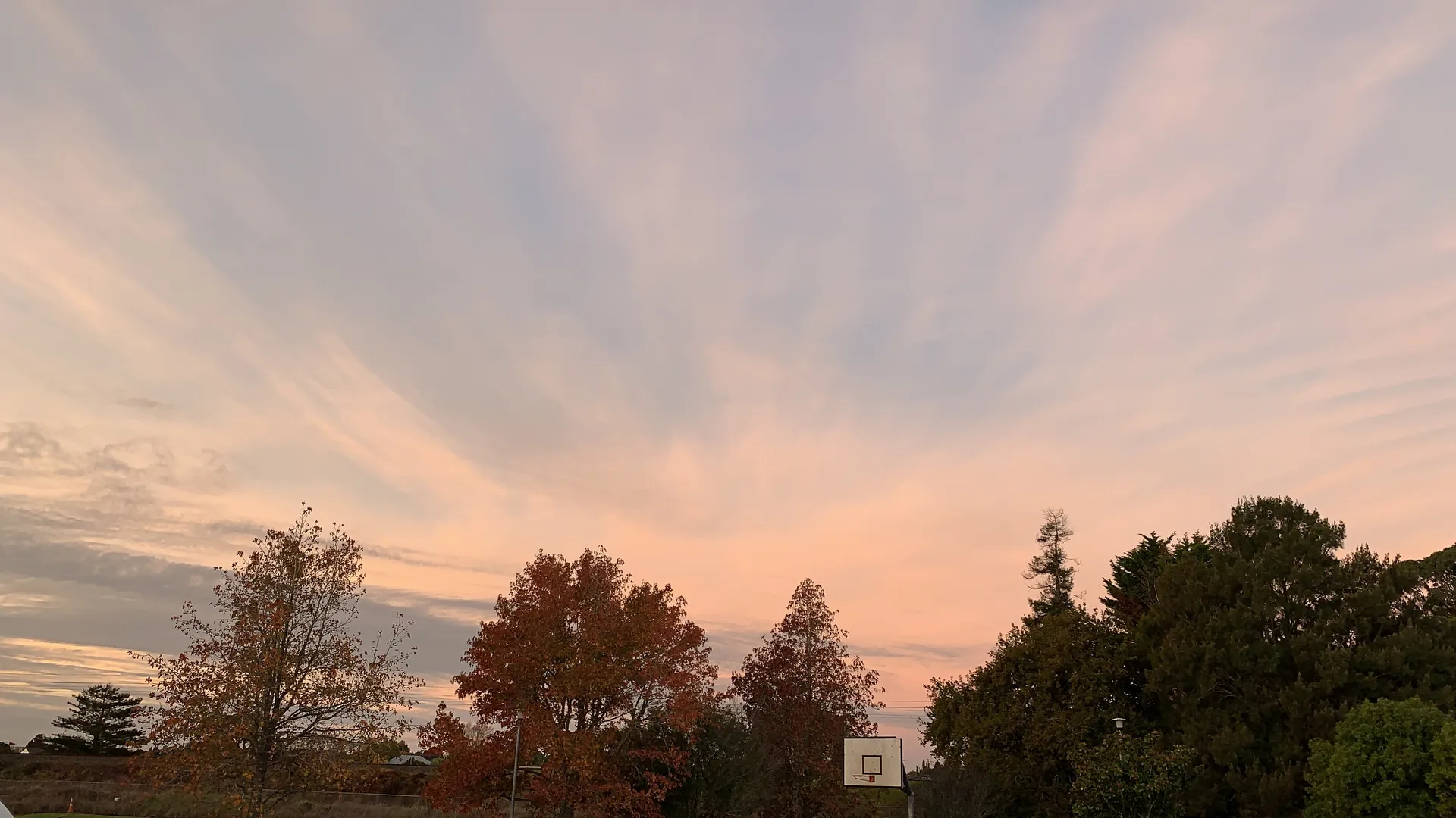 Yogurtpop OnlyFans header