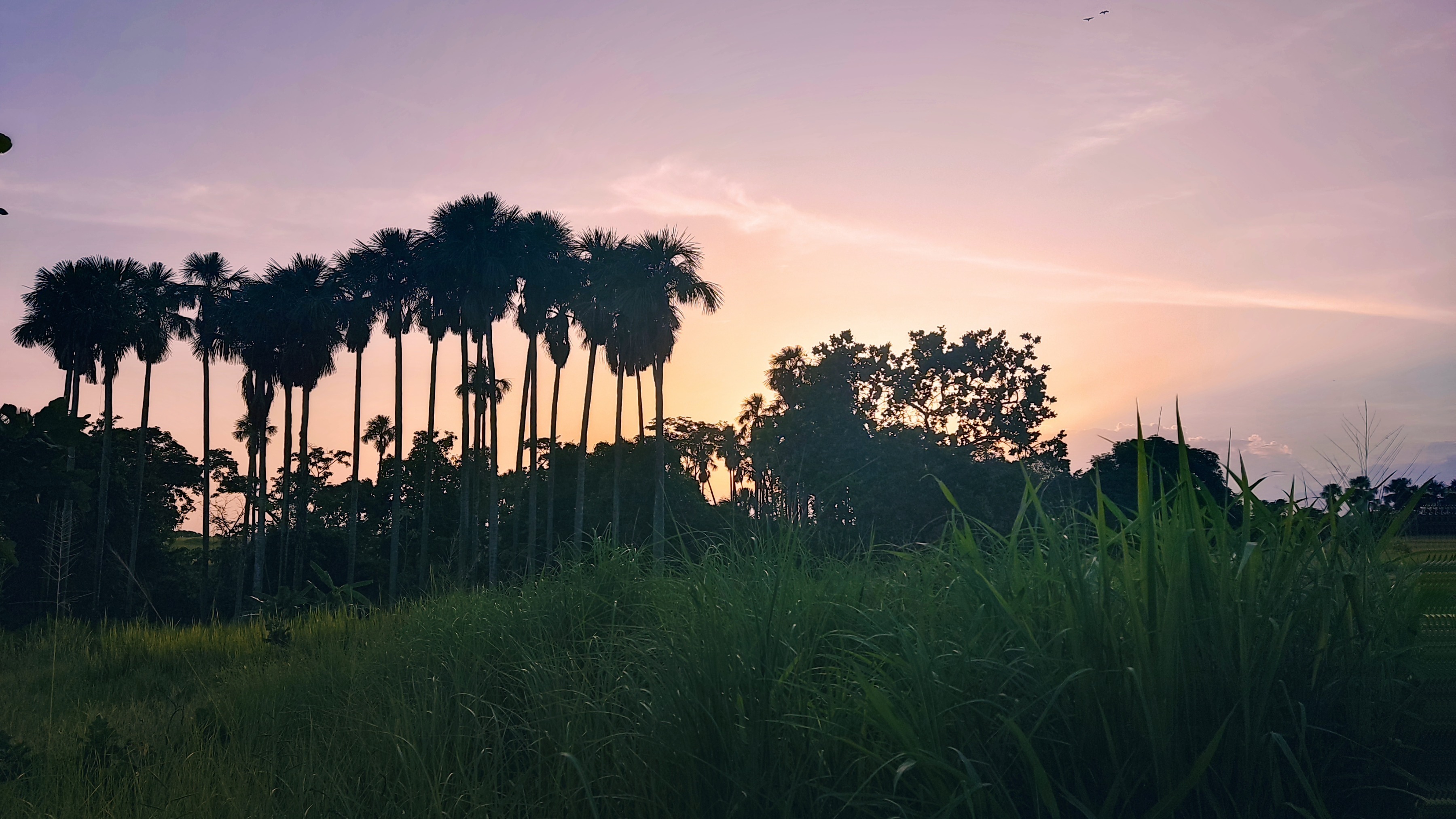 Yoha G OnlyFans header