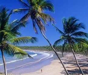 Yoko OnlyFans header