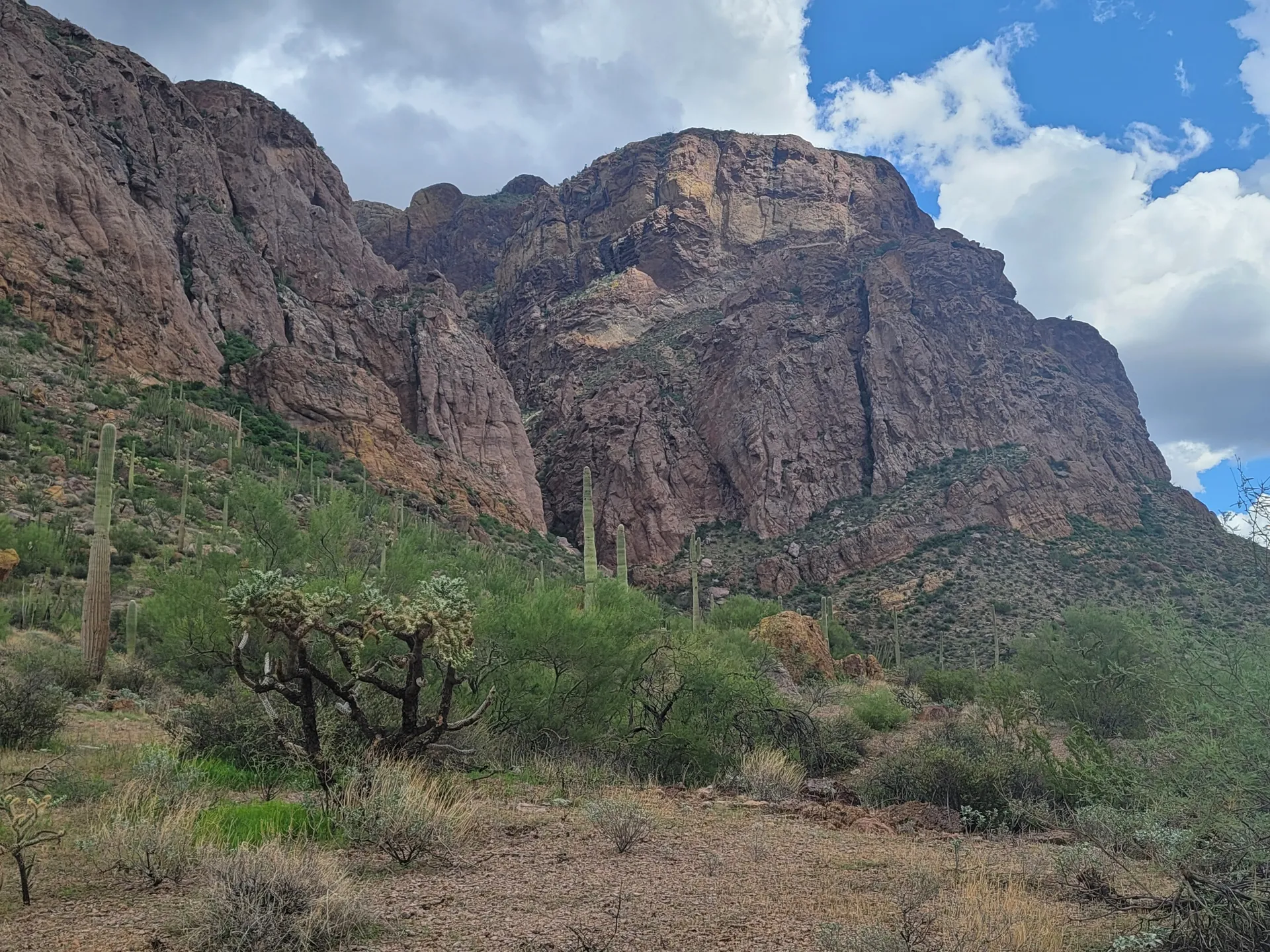 Ladi dadi OnlyFans header