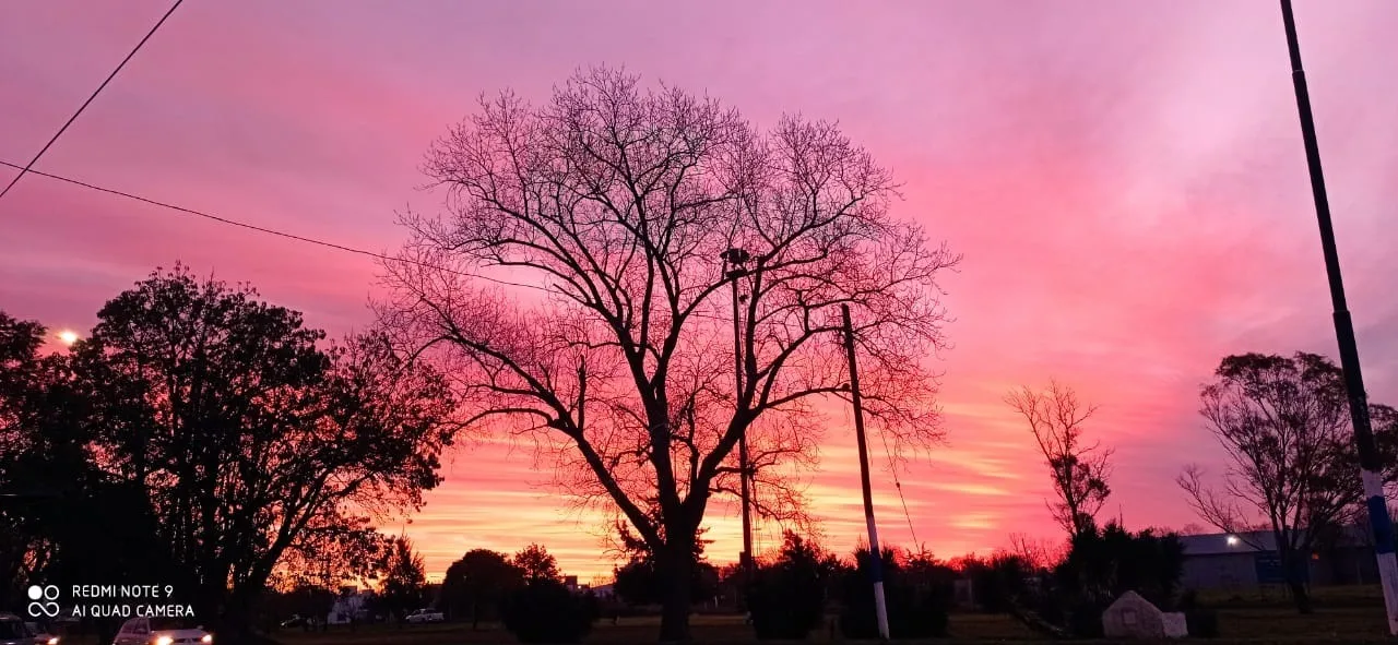 Sarita OnlyFans header