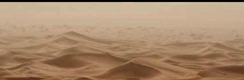 Yoshi OnlyFans header