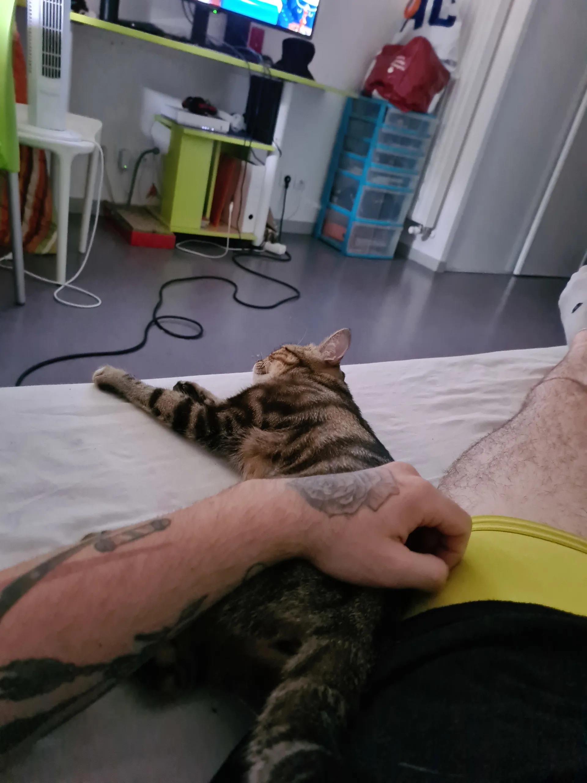 NaNi OnlyFans header