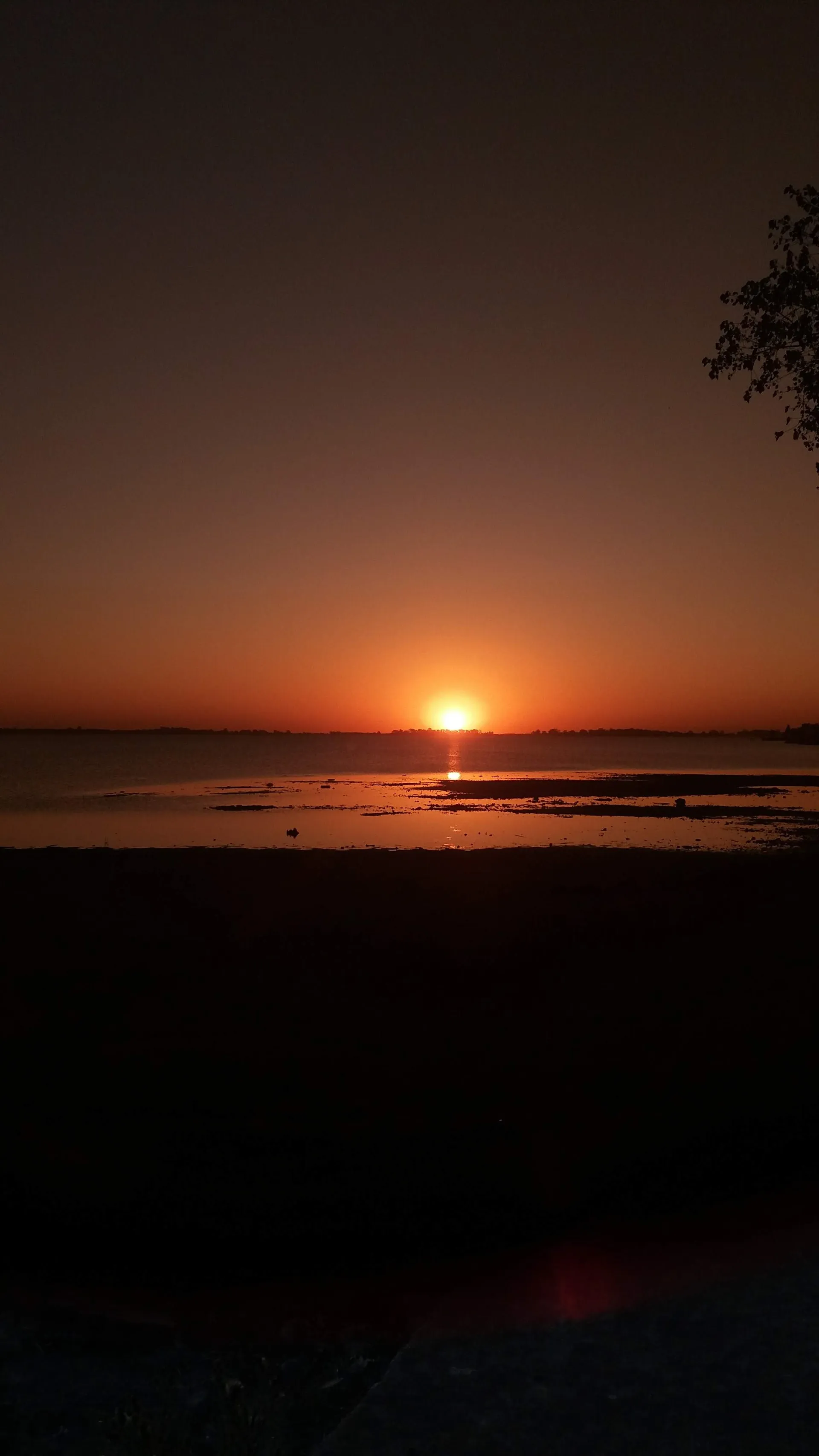 babyan OnlyFans header