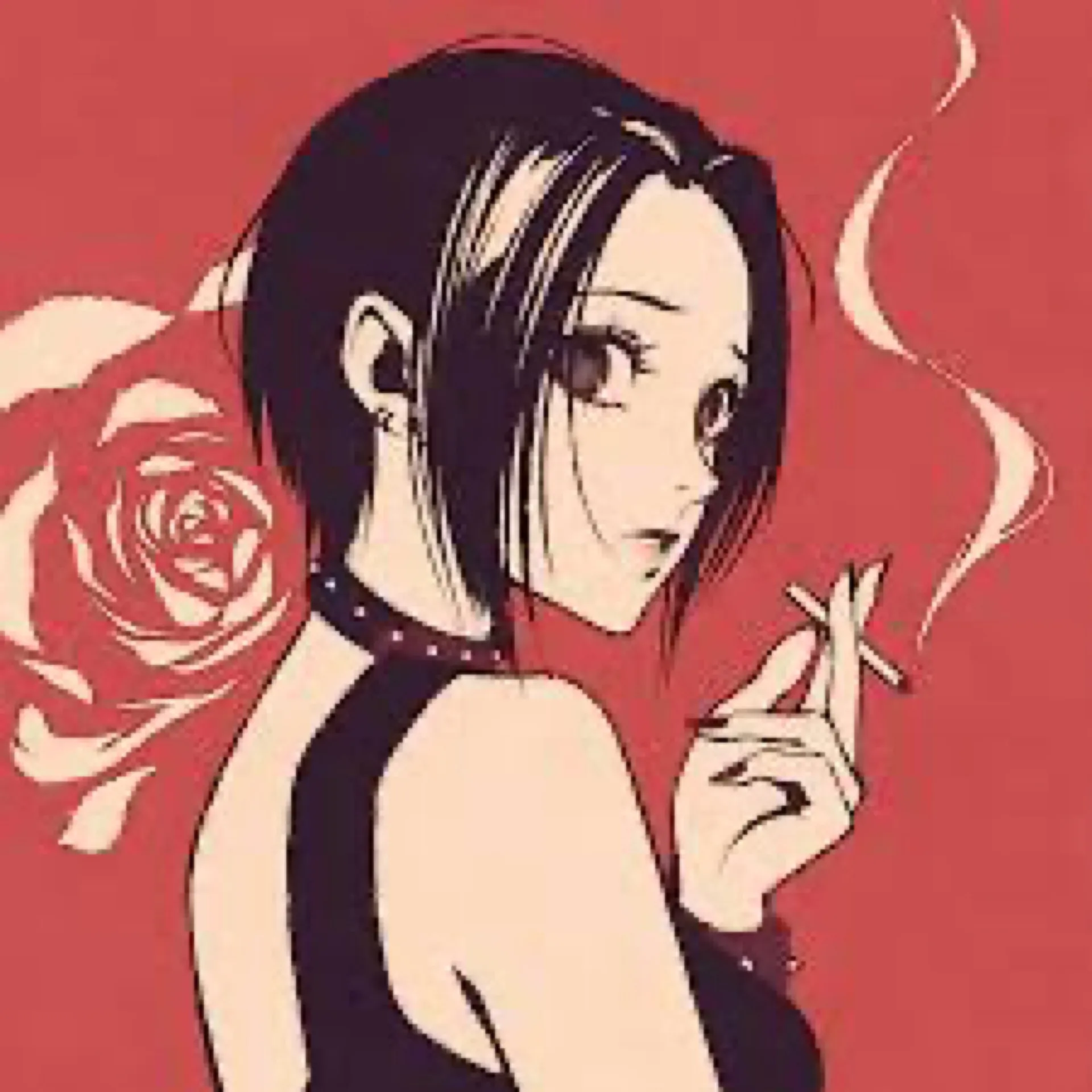 Coyote OnlyFans header