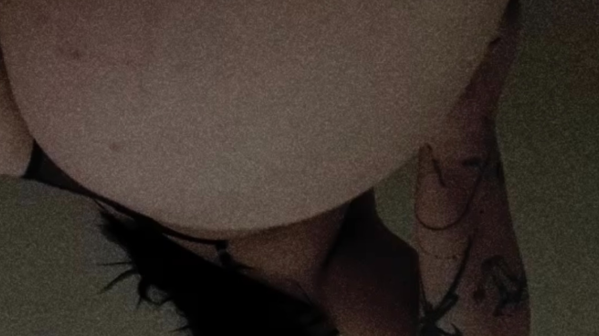 Allisia OnlyFans header