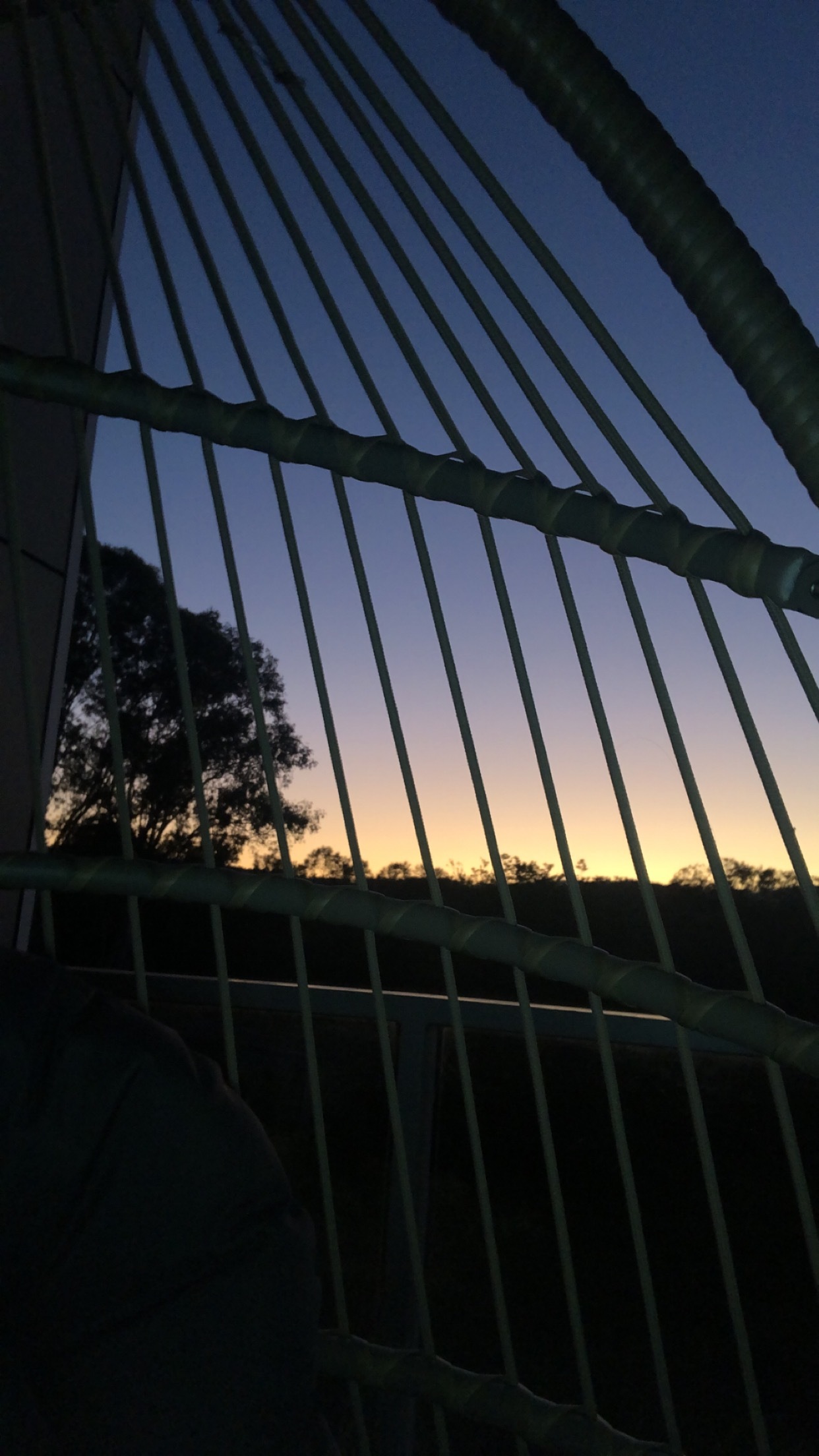 Lola OnlyFans header