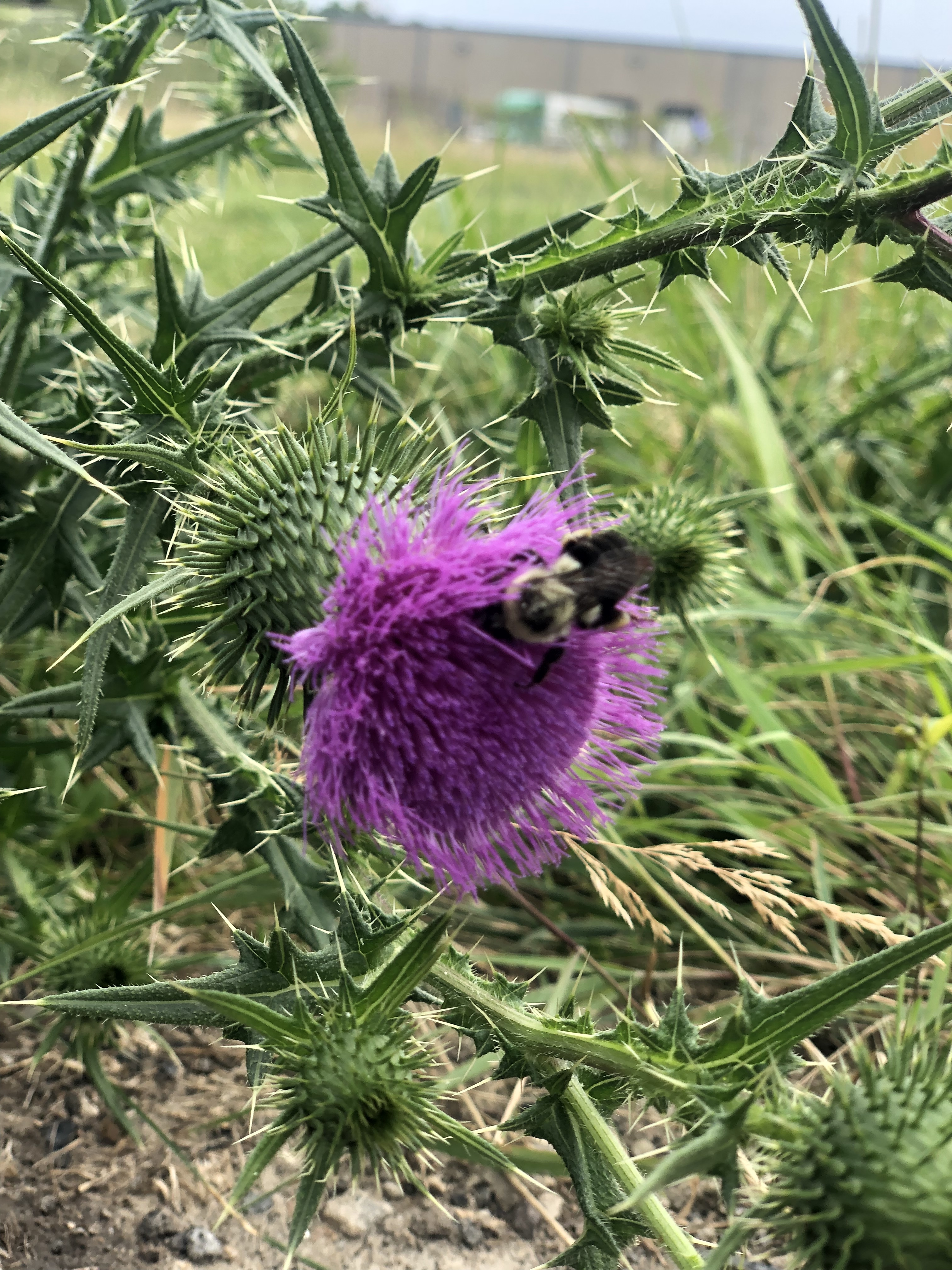 Boo 👻 OnlyFans header