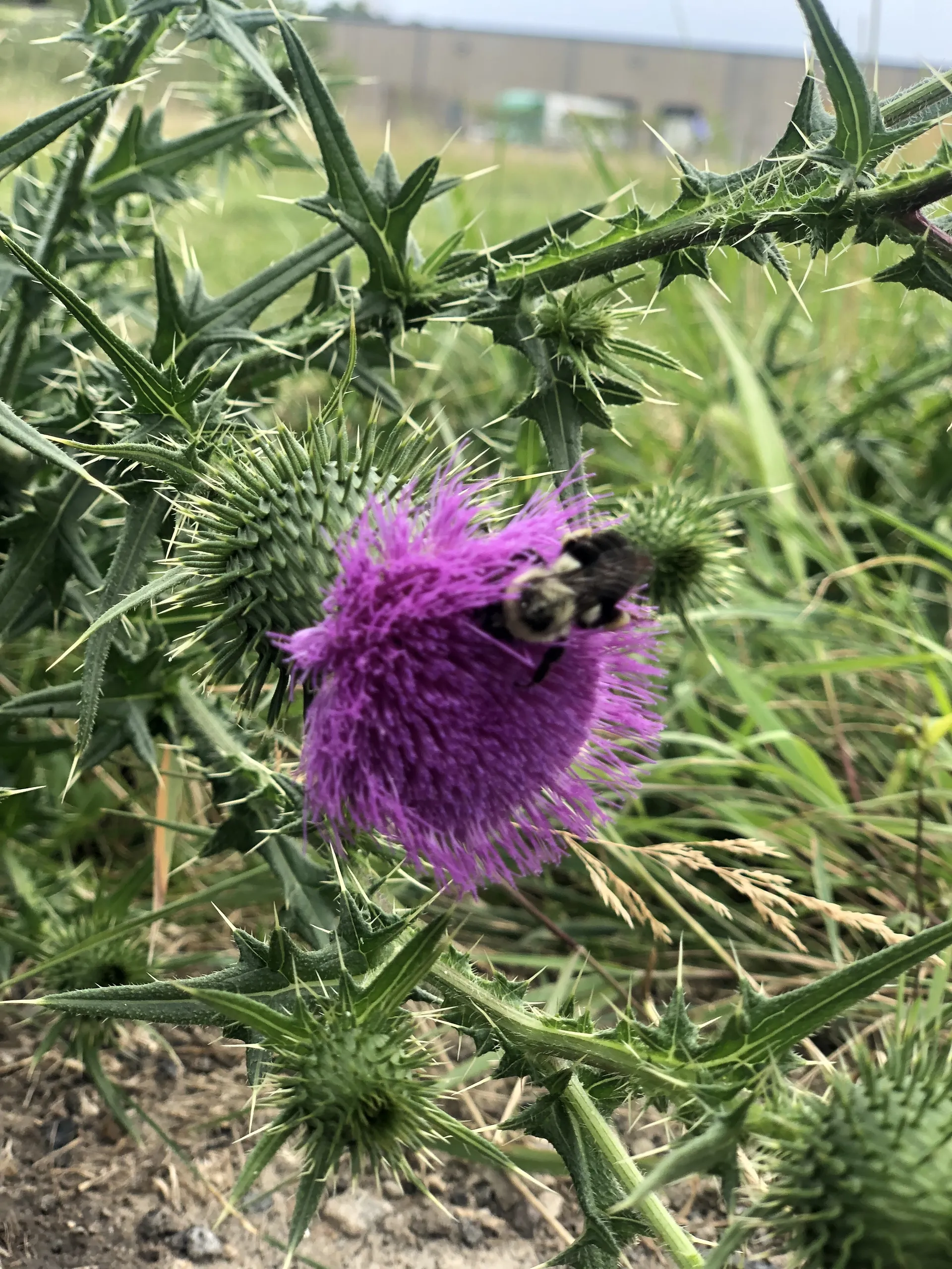 Boo 👻 OnlyFans header