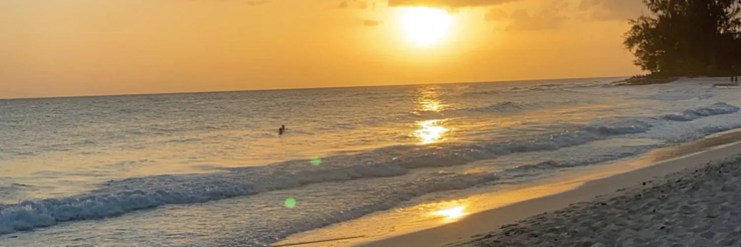 BICH OnlyFans header