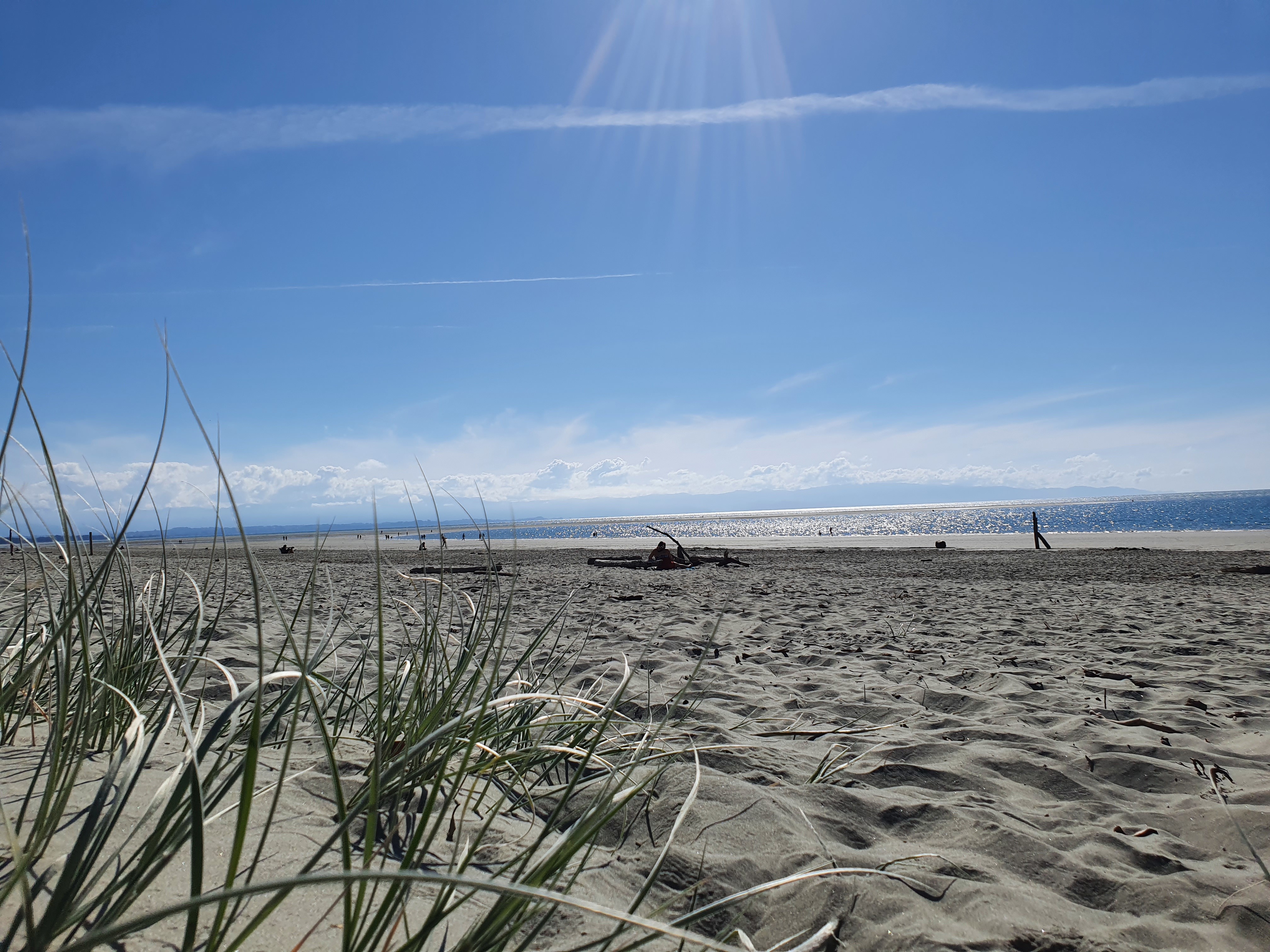 Missy OnlyFans header