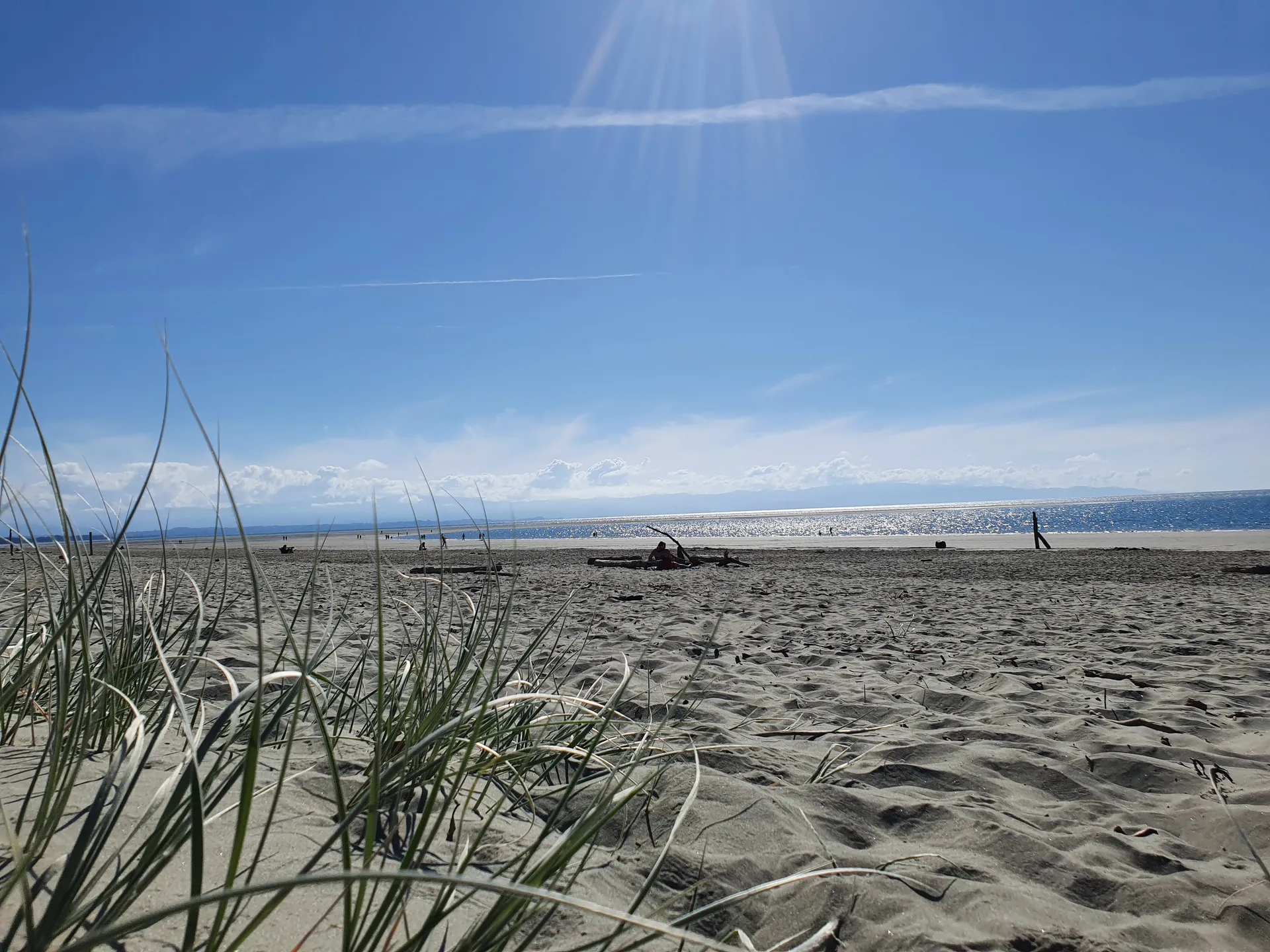 Missy OnlyFans header