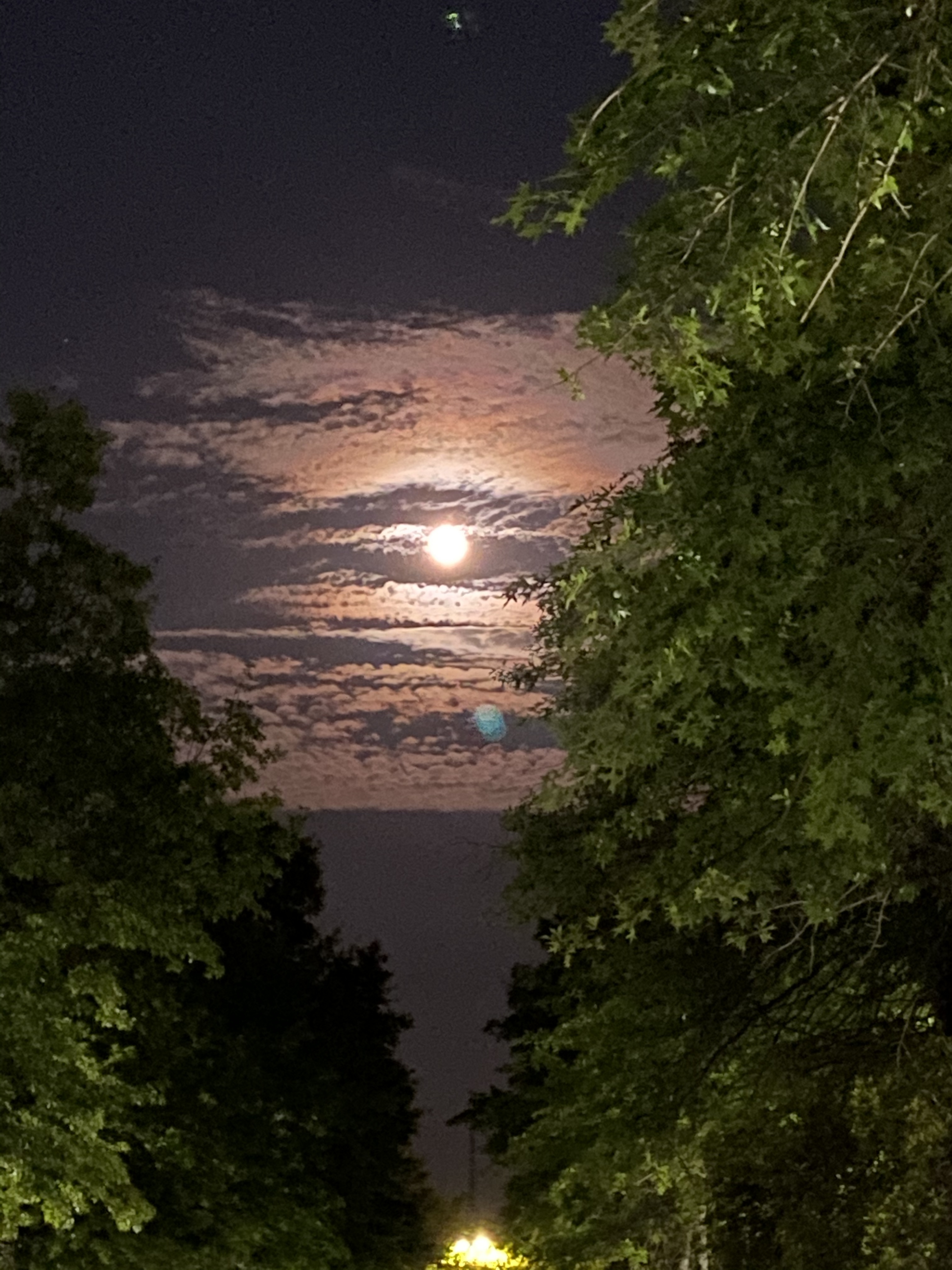 Biggie OnlyFans header