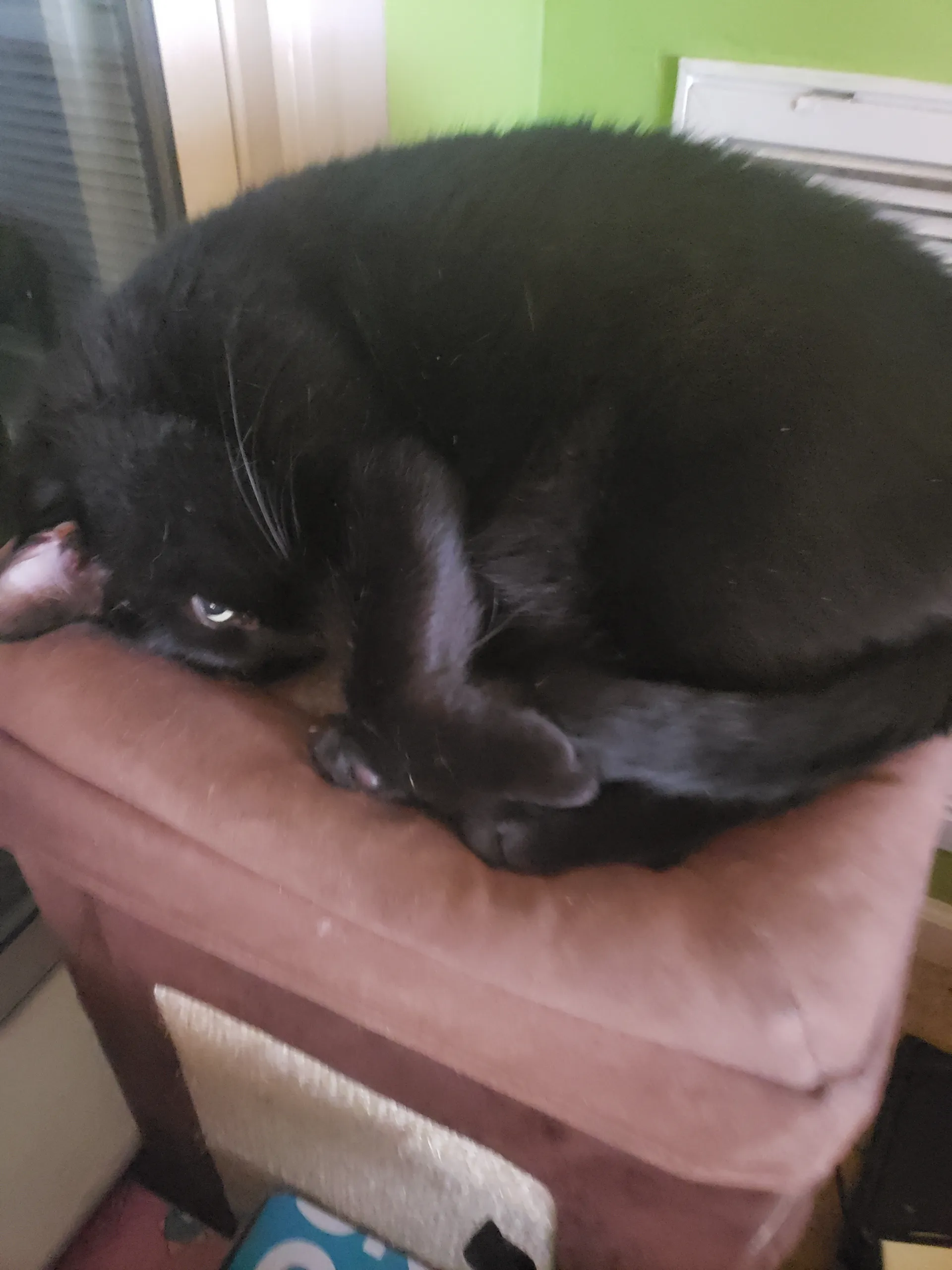 Gbaby OnlyFans header