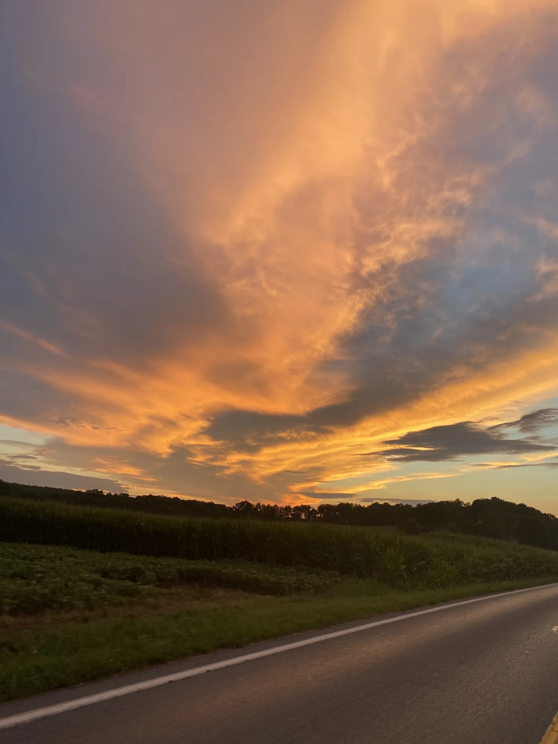 Sammy OnlyFans header