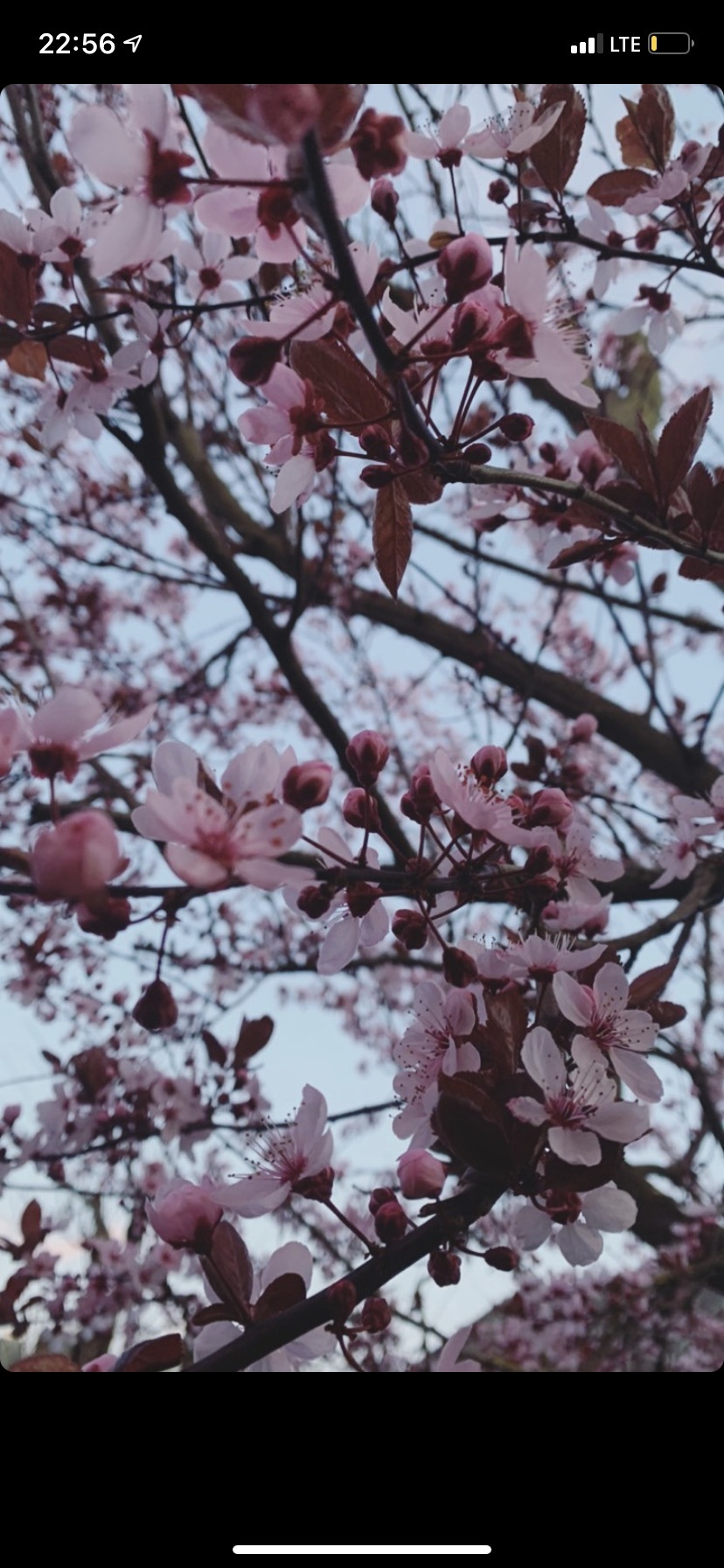 You never know OnlyFans header