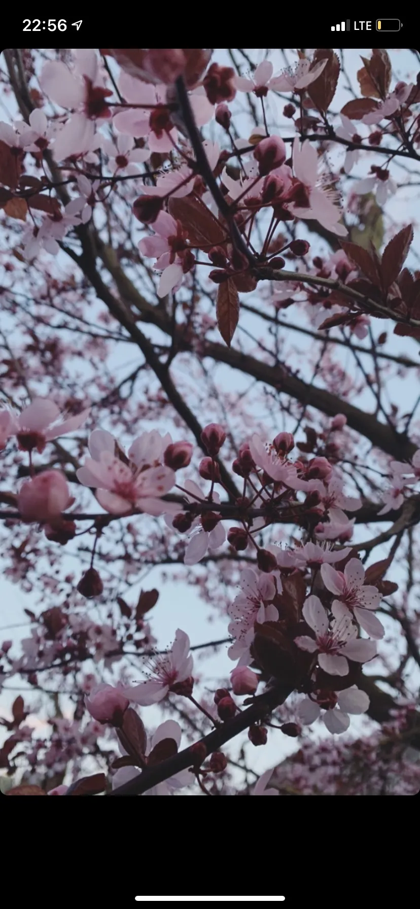 You never know OnlyFans header