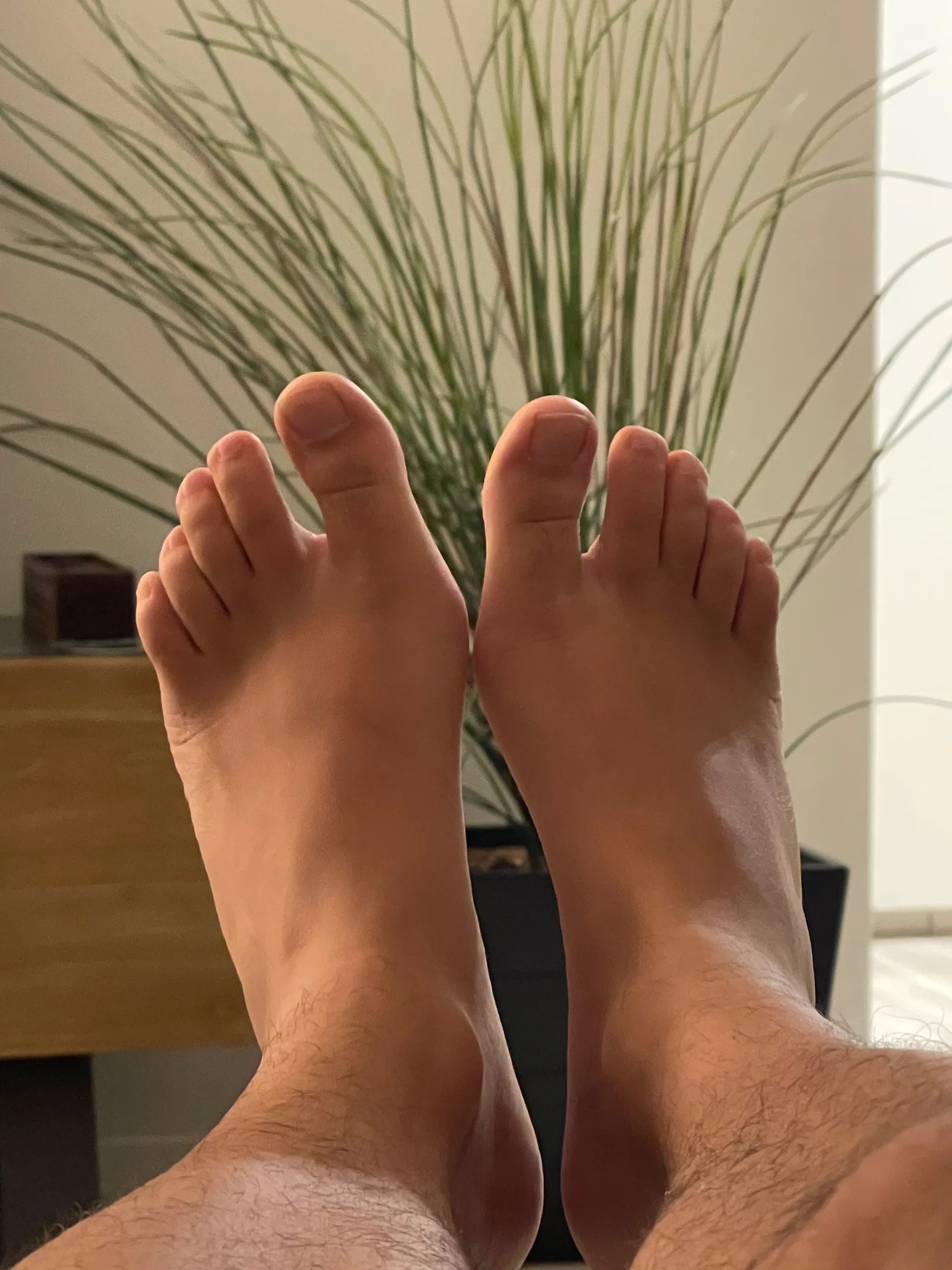 Aussie Man Feet OnlyFans header