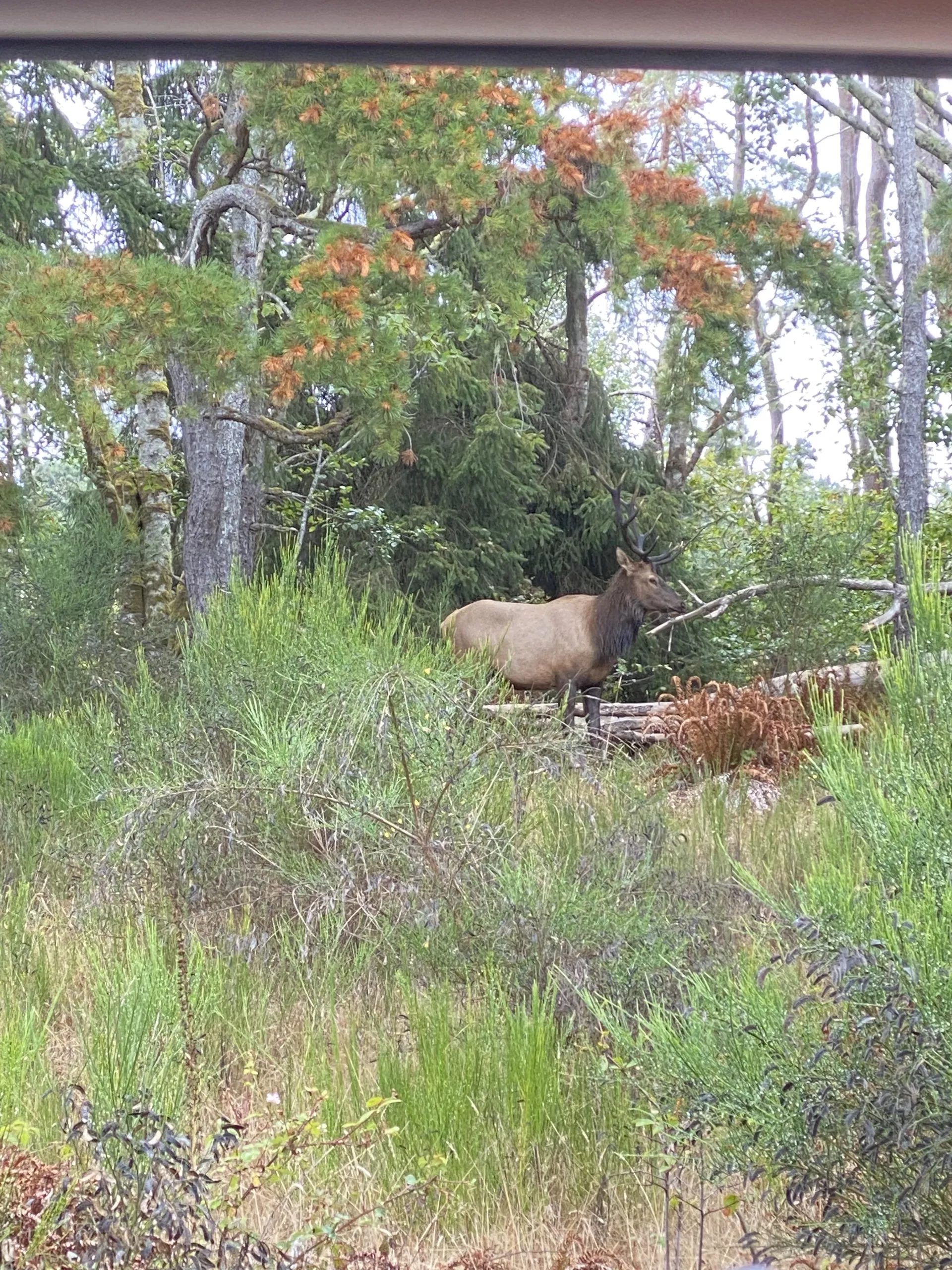 Carter OnlyFans header