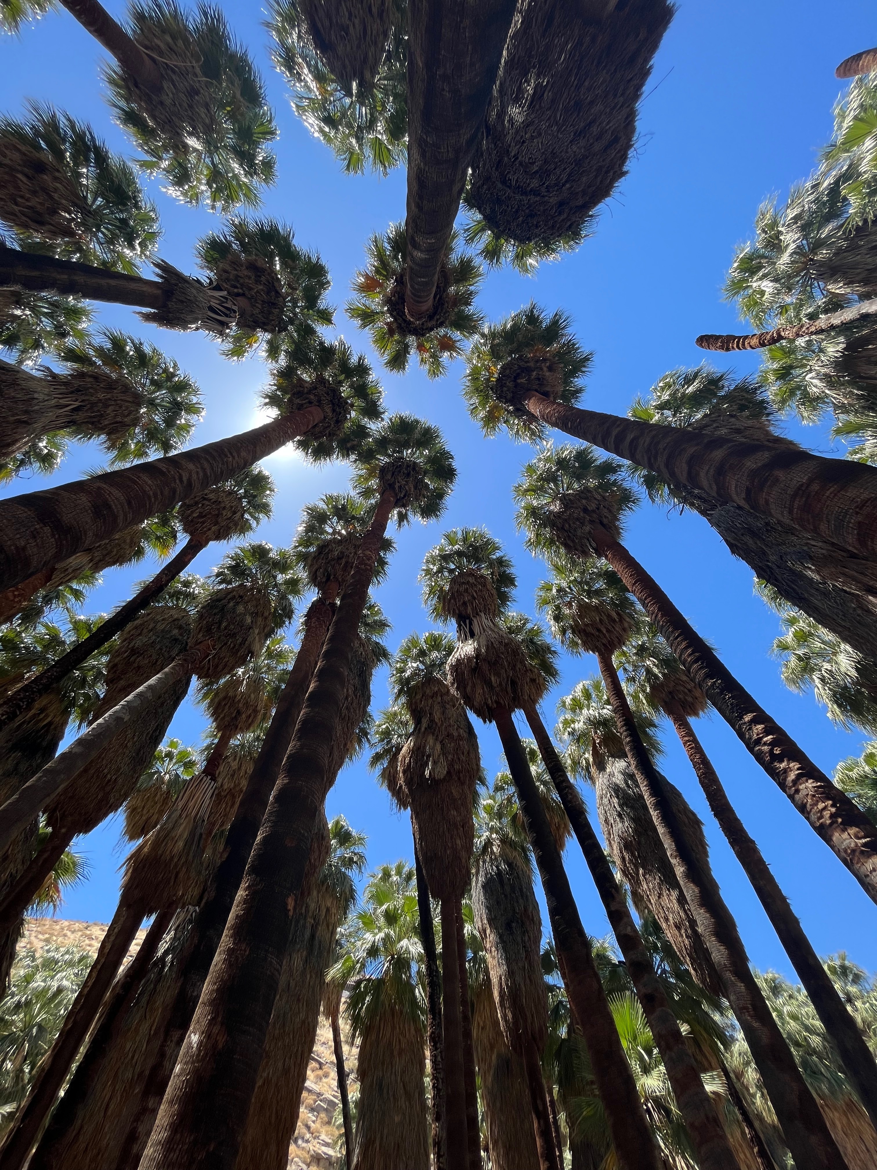 YoungCastro OnlyFans header