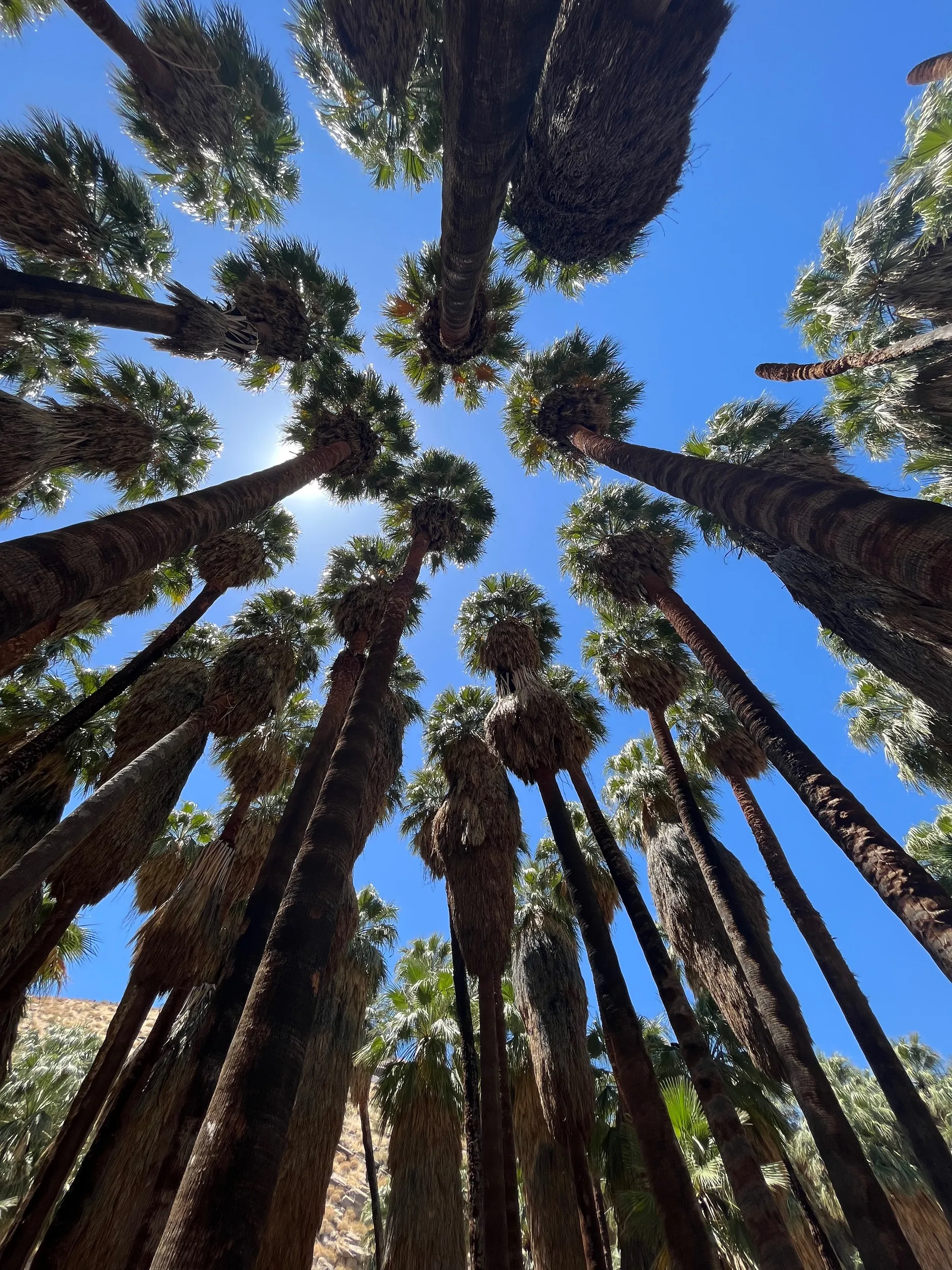 YoungCastro OnlyFans header