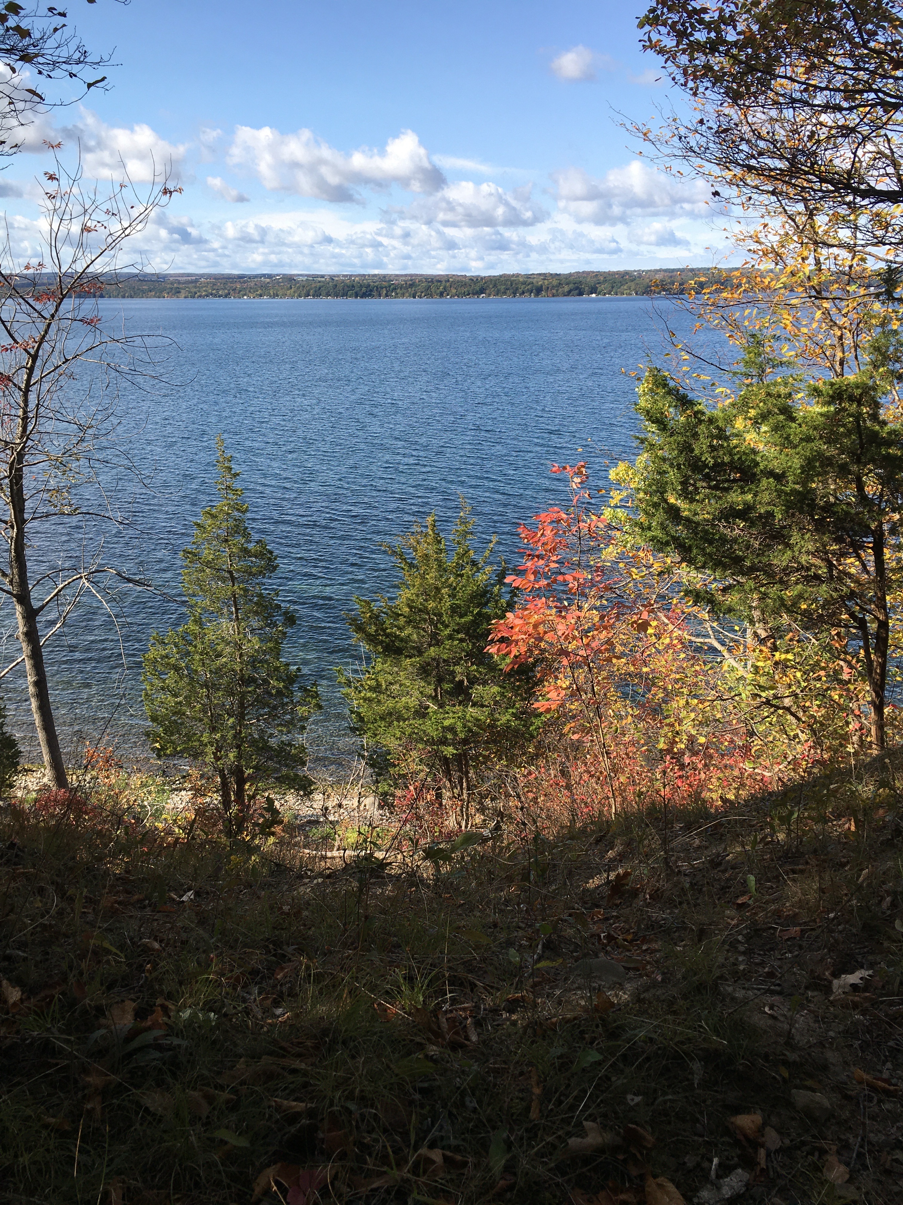 Youngcollegegay OnlyFans header