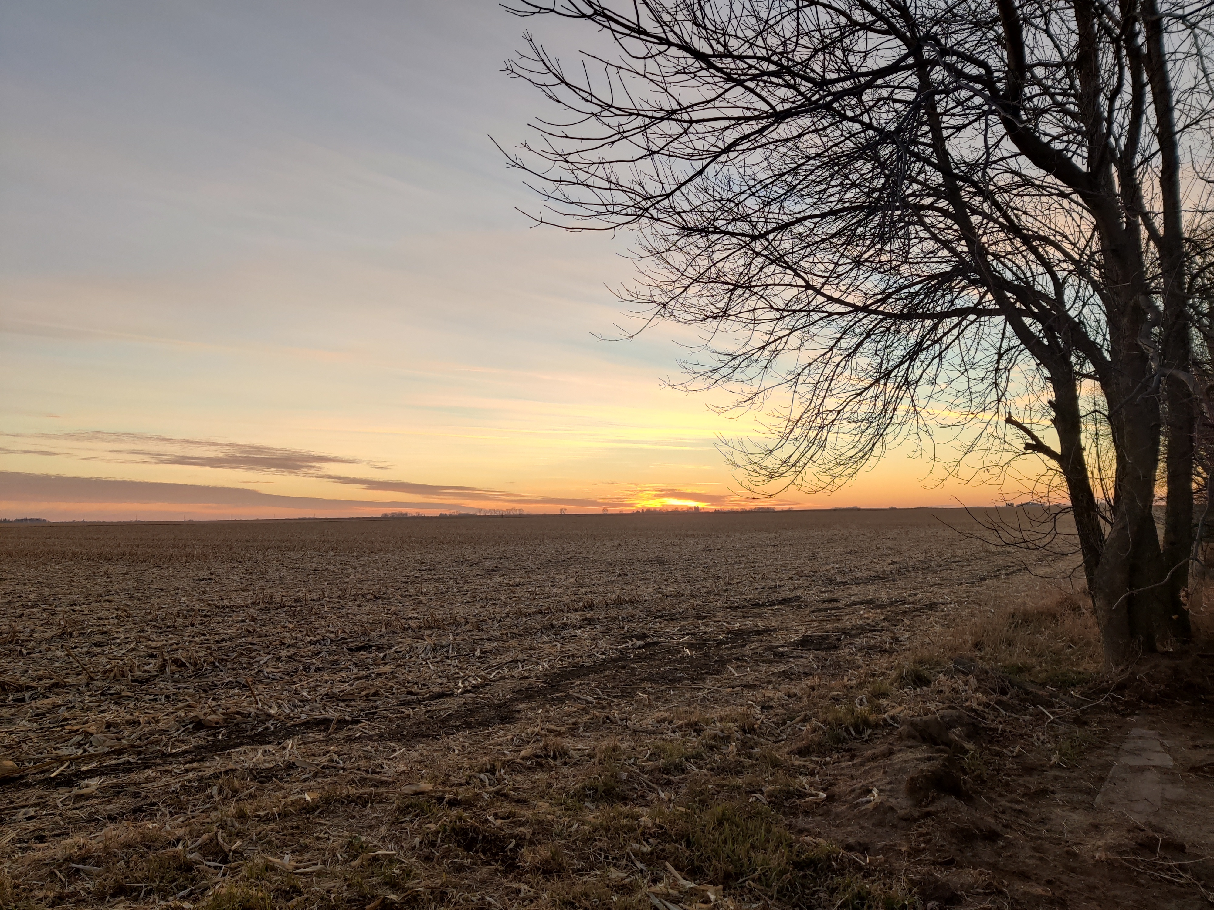 Yung-experiment OnlyFans header