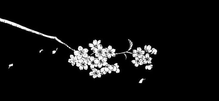 Prettiest Dick OnlyFans header