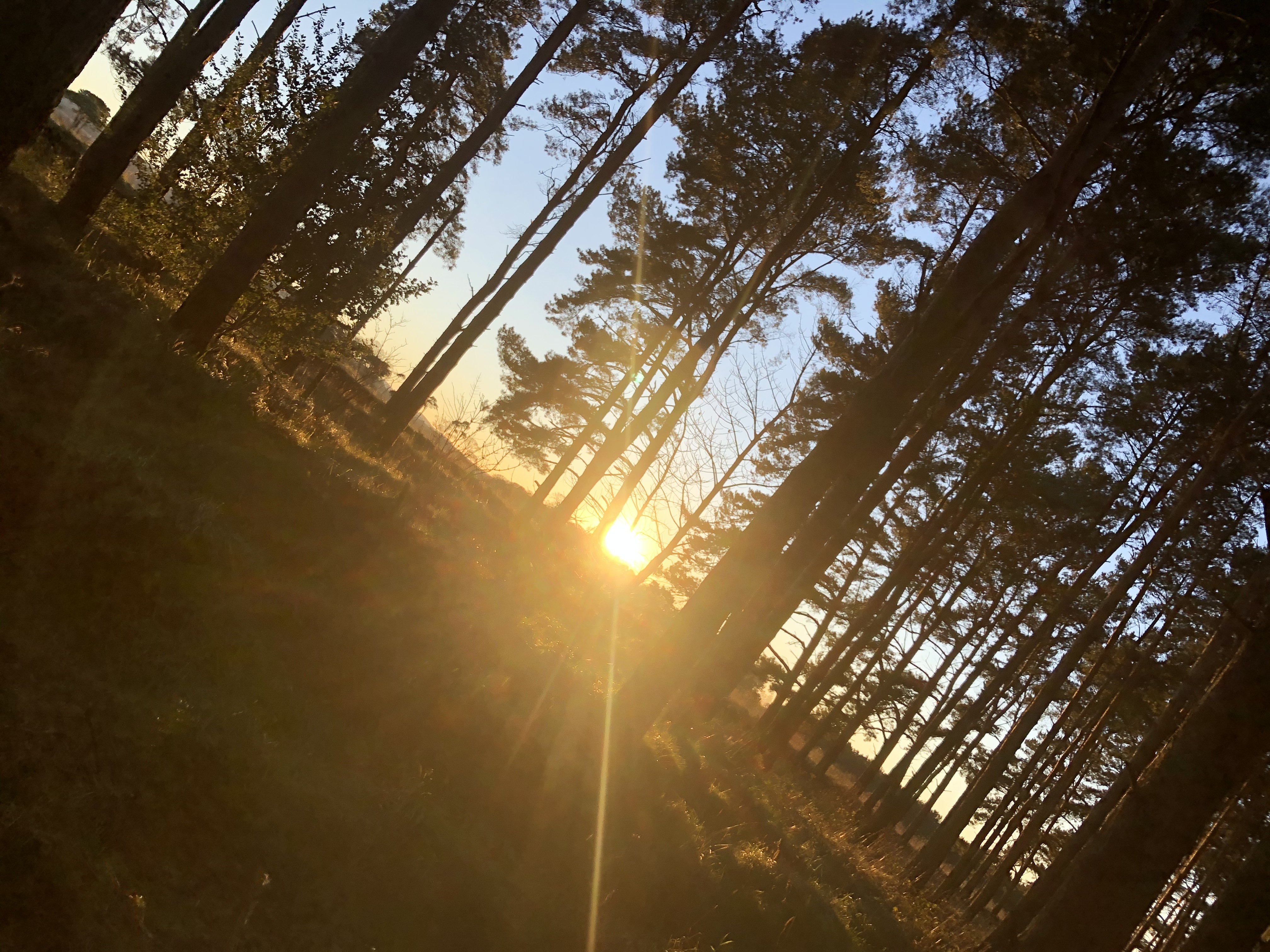 Ana Rose OnlyFans header