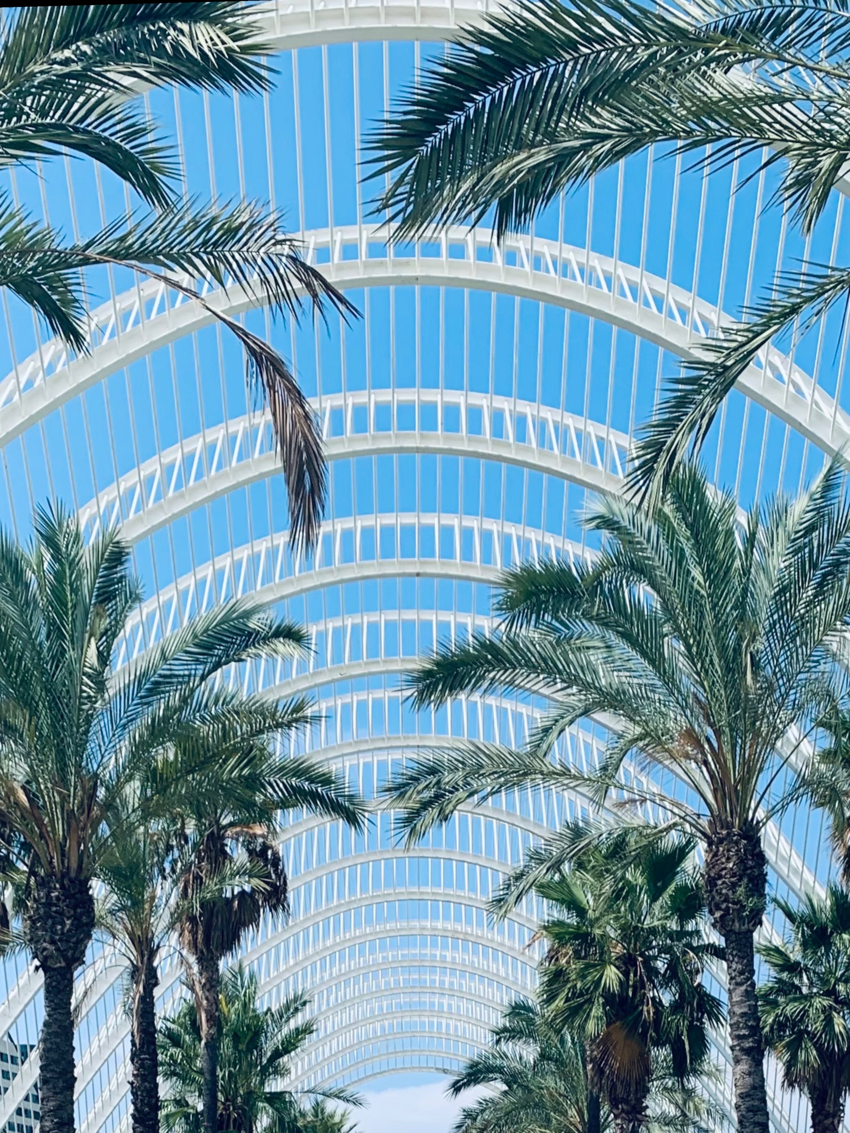 YoungGuapo OnlyFans header