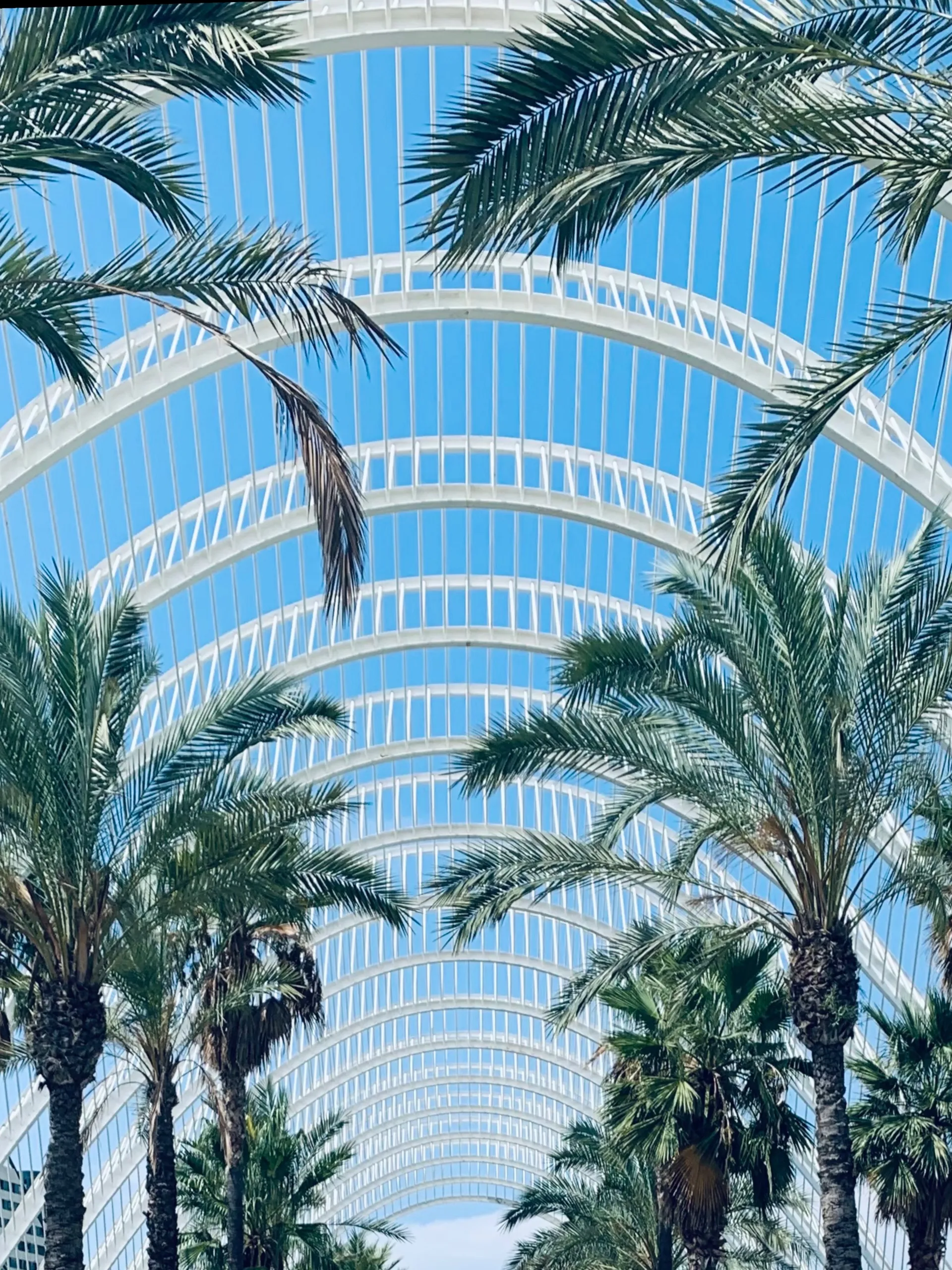 YoungGuapo OnlyFans header