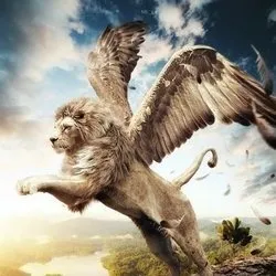 MAZEN ARK 彡عبد الله