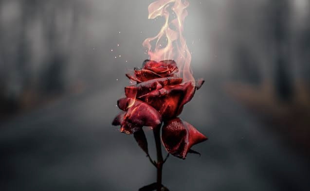 Youngmama😝 OnlyFans header