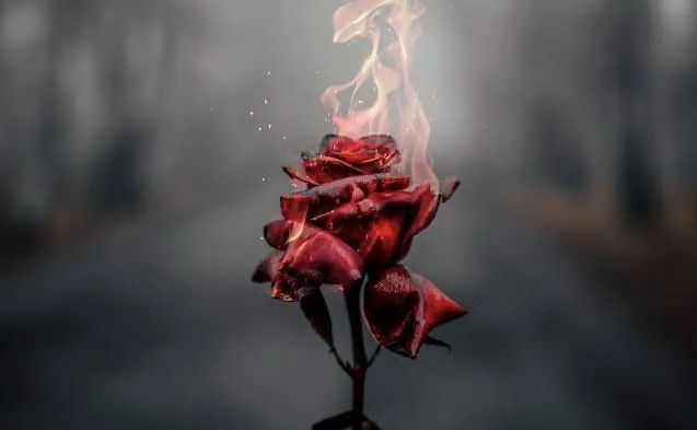 Youngmama😝 OnlyFans header