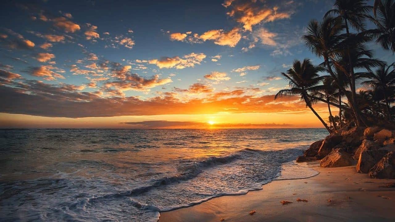 DaddyA OnlyFans header