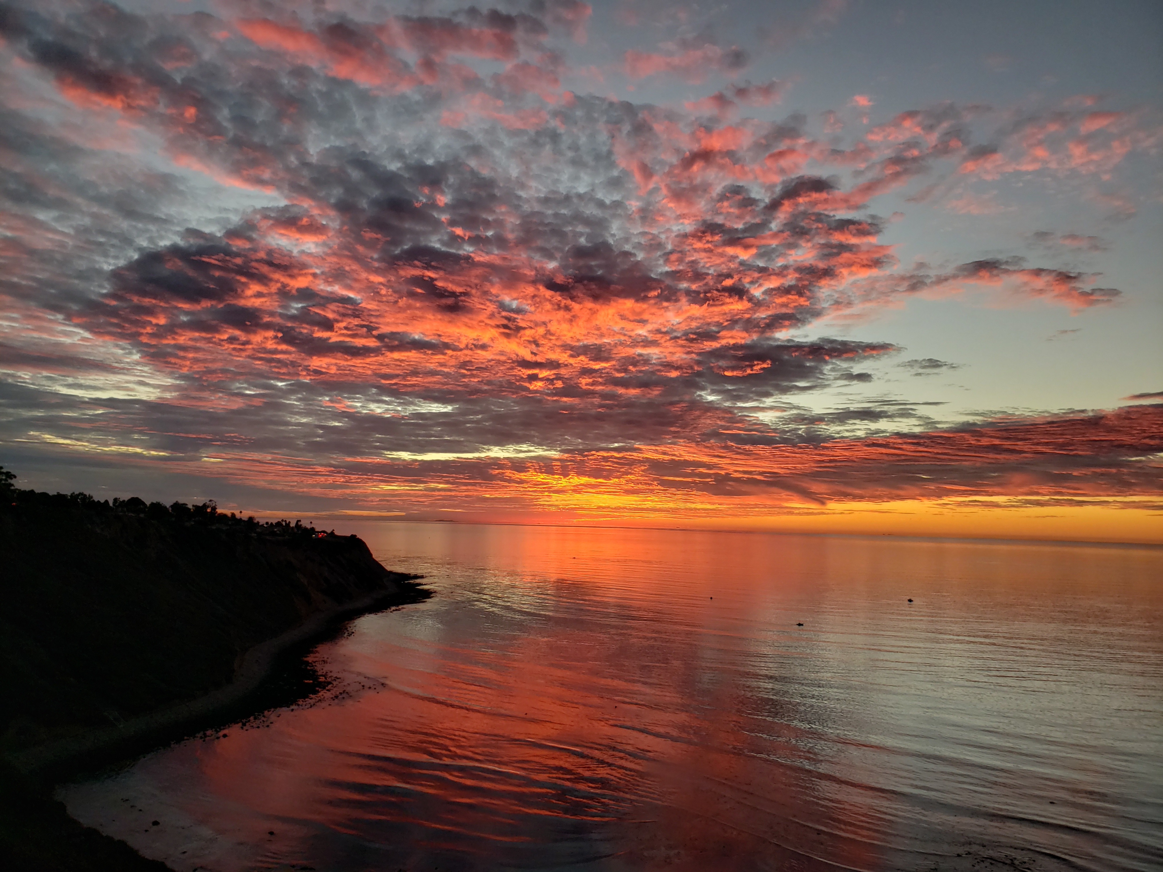 Youngsurfergod OnlyFans header