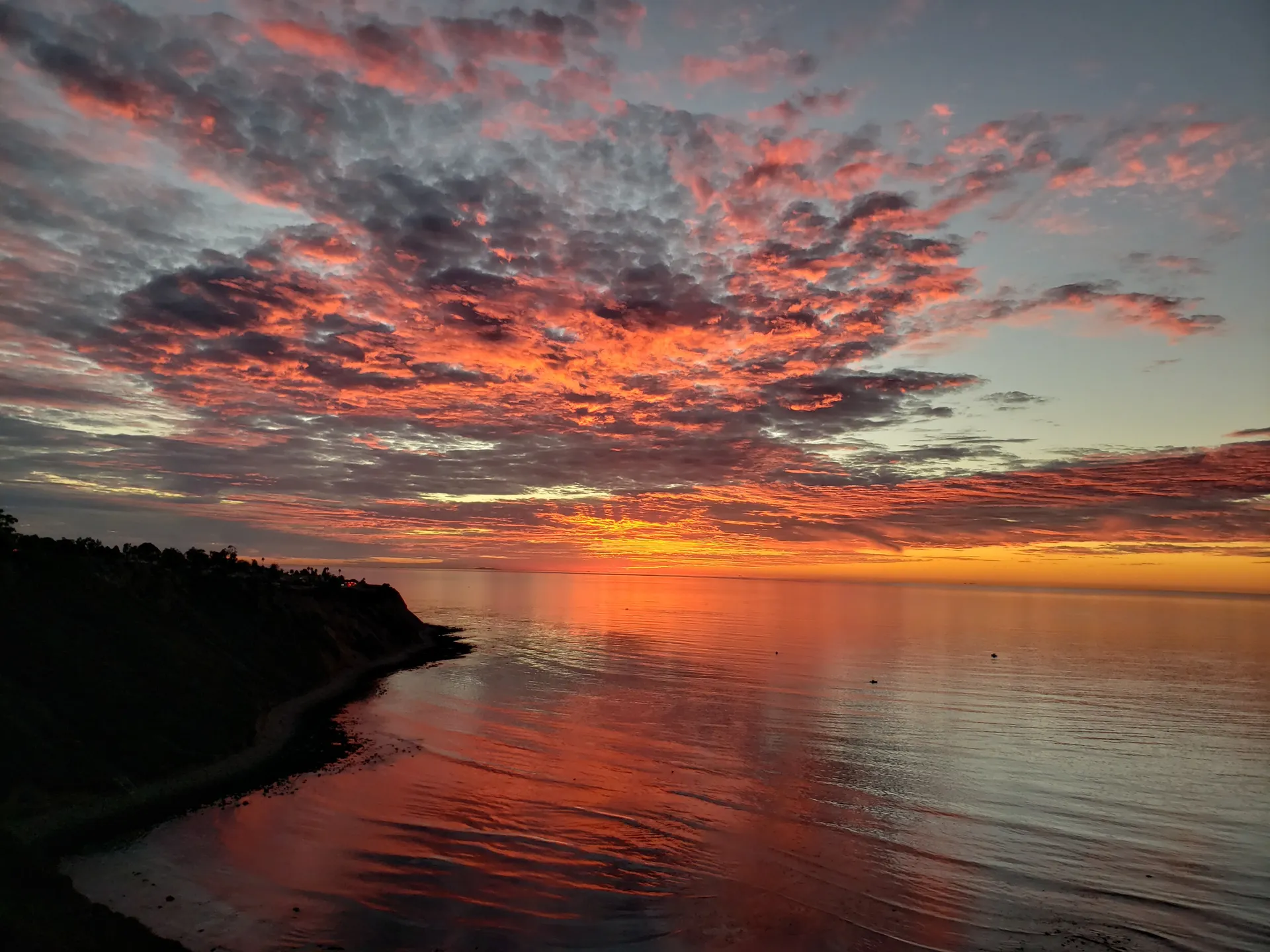 Youngsurfergod OnlyFans header