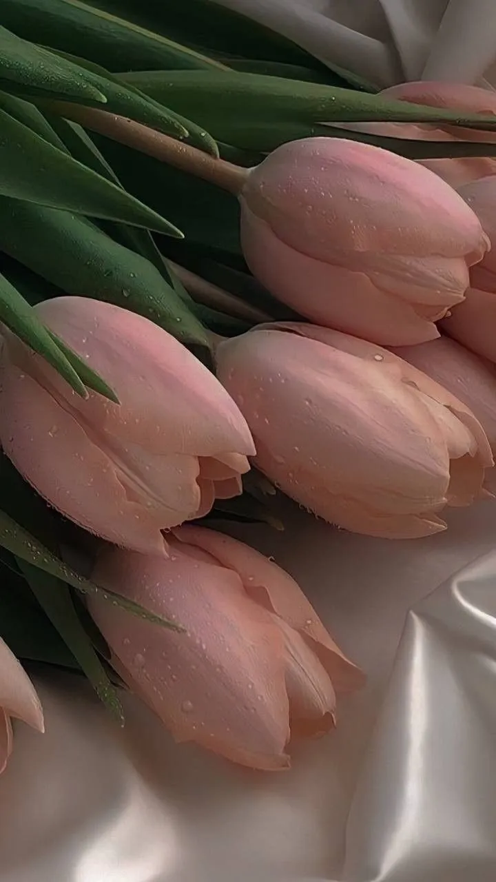 Lola OnlyFans header