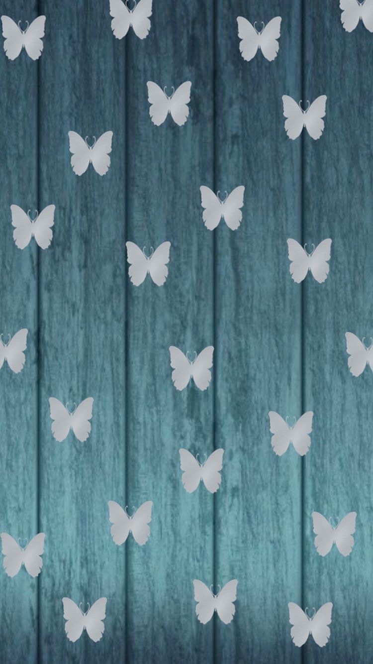 Shaylynn OnlyFans header