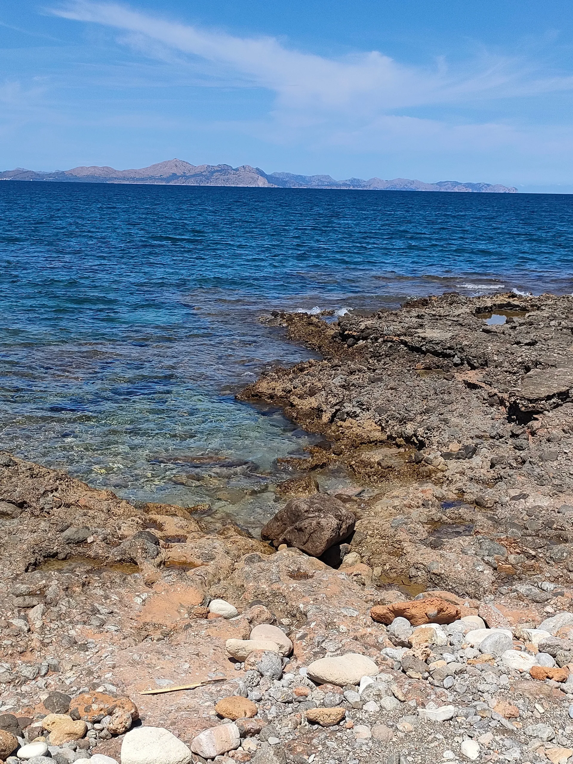 ARNi OnlyFans header