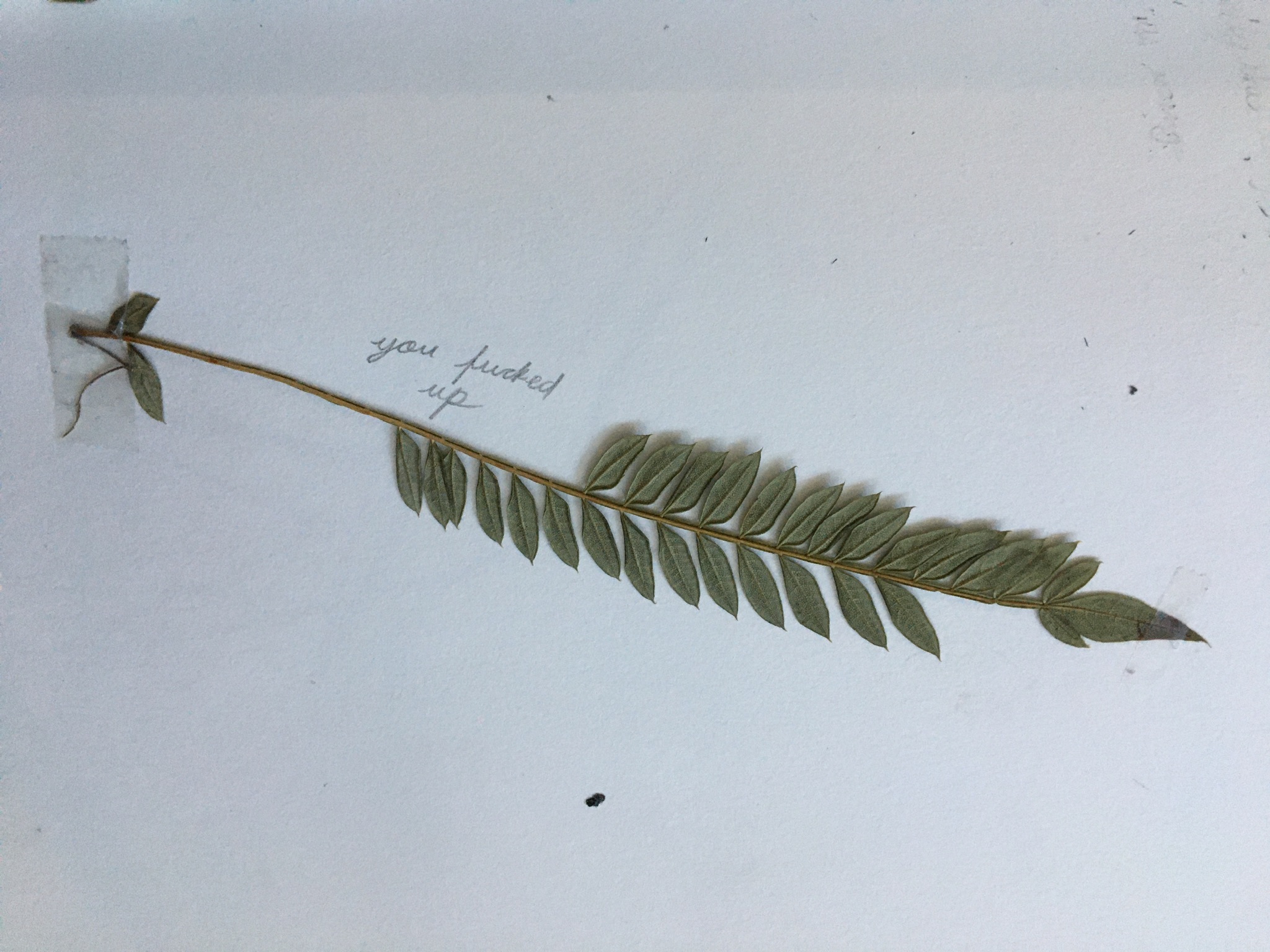 Ezy Kyz OnlyFans header