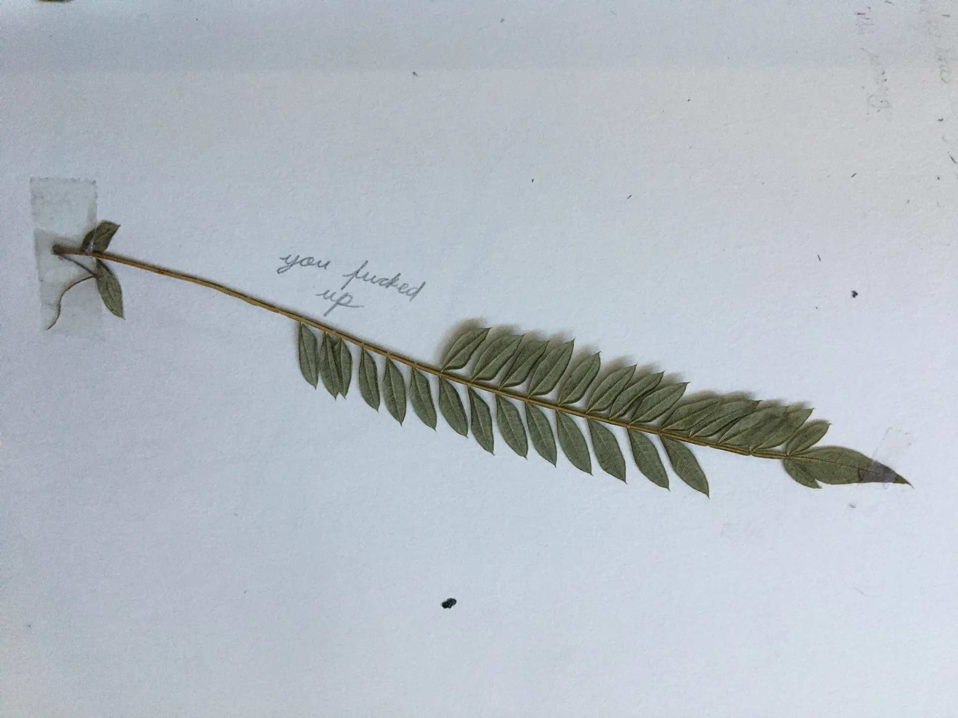 Ezy Kyz OnlyFans header