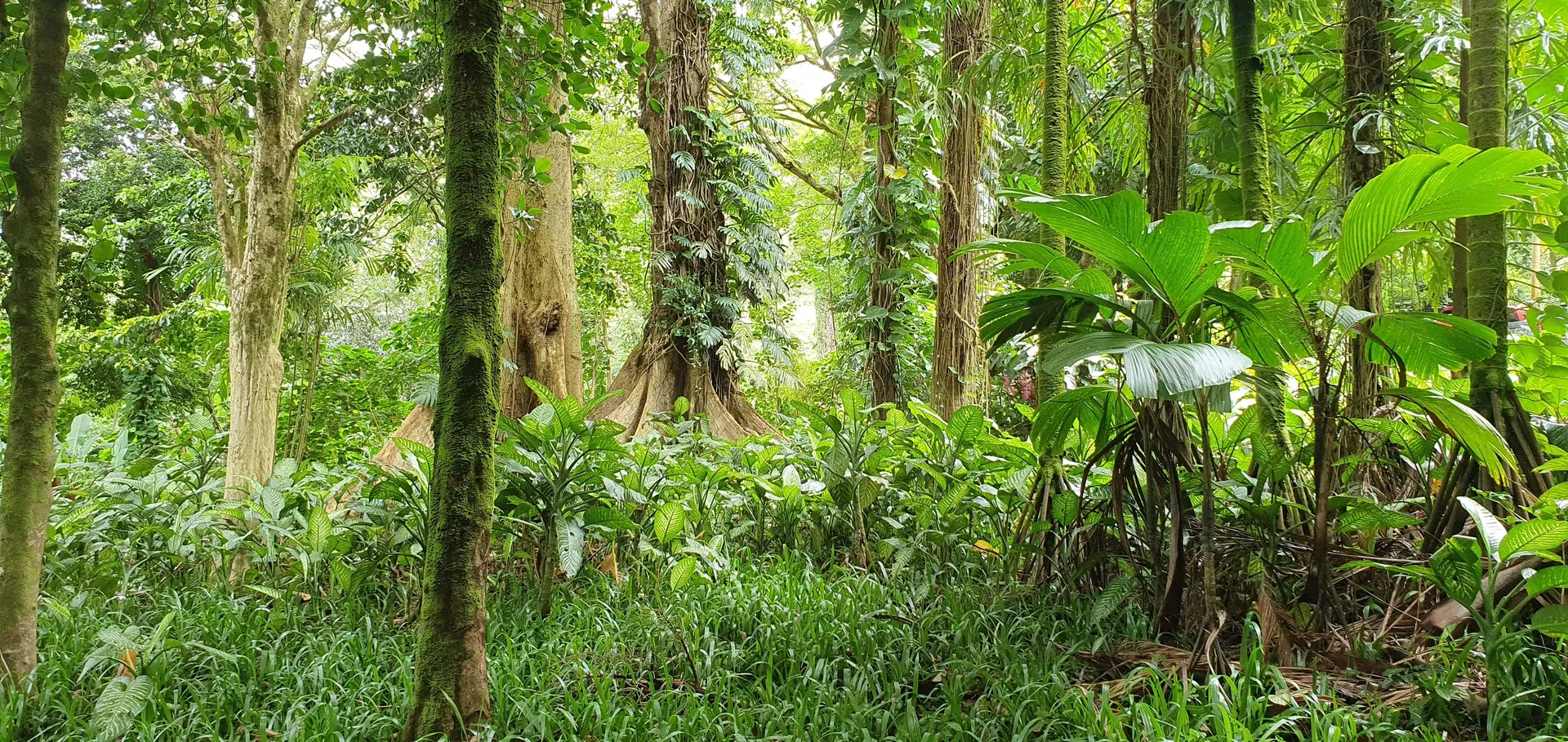 Bikerchick_Lynn OnlyFans header