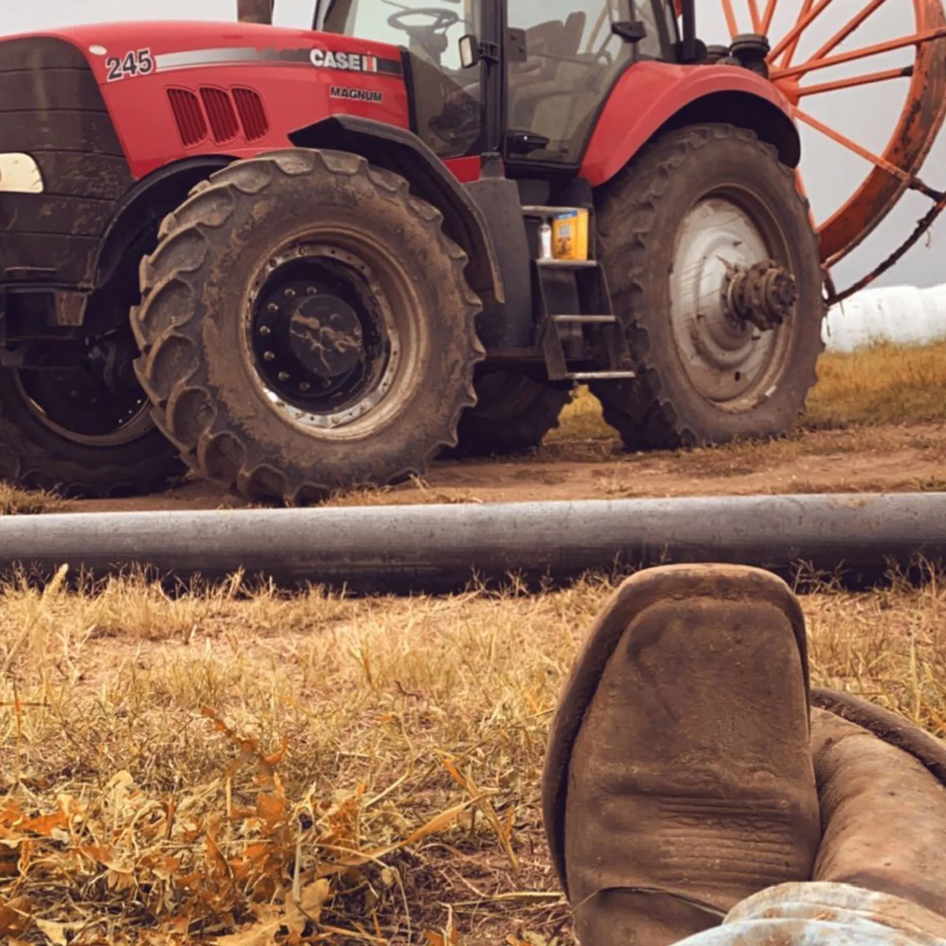 Your_favorite_burger OnlyFans header