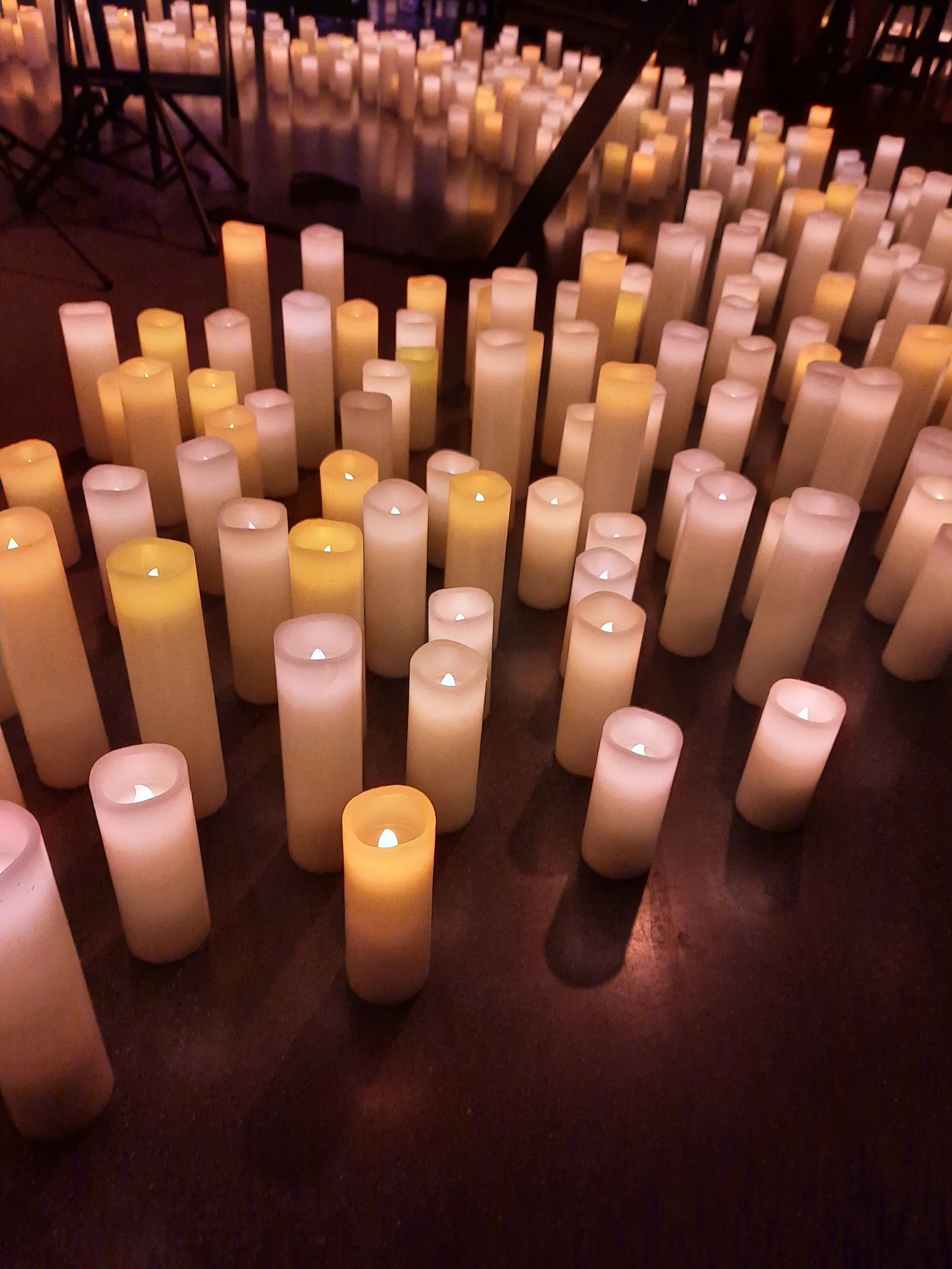 Bambi OnlyFans header