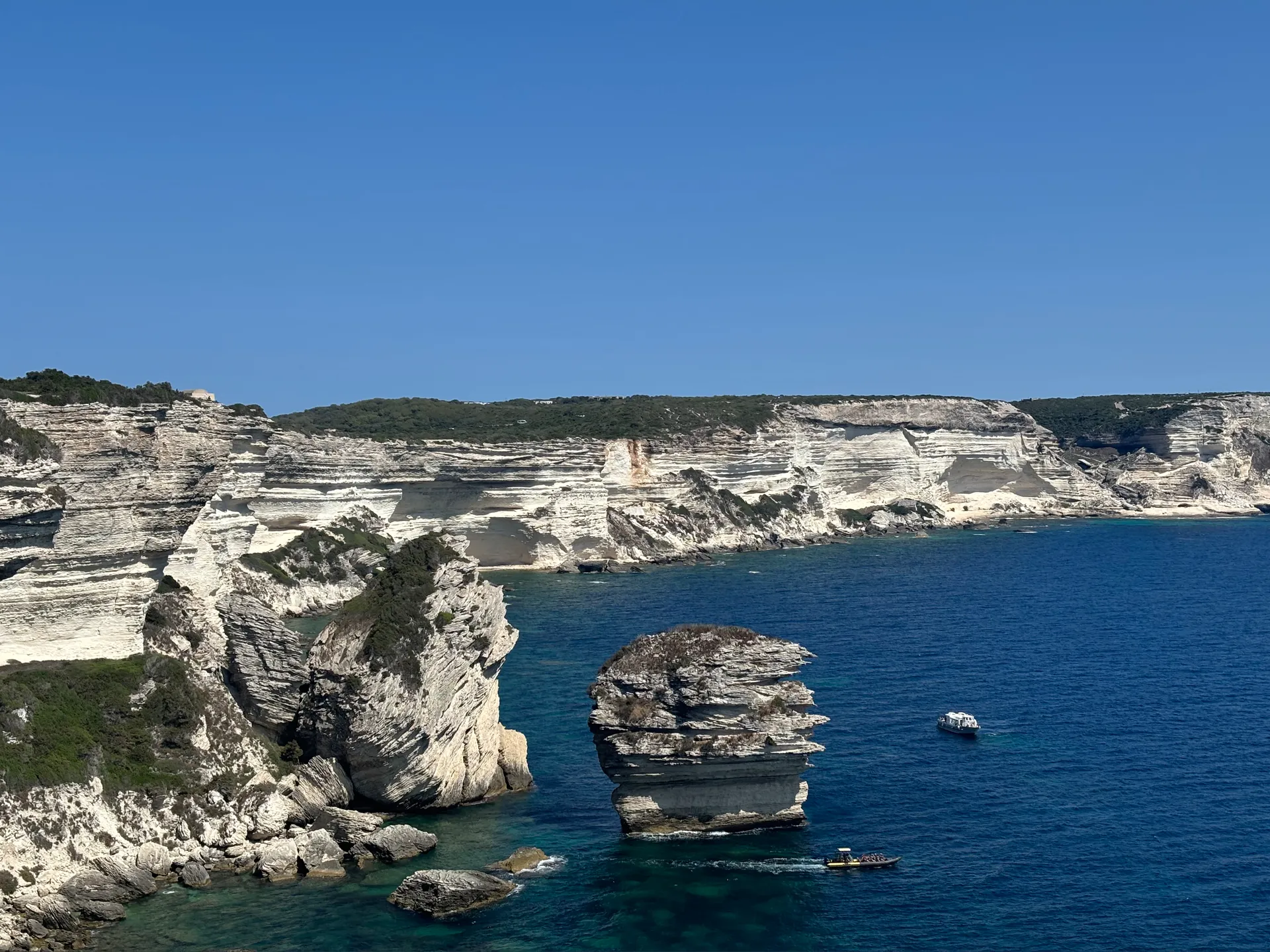 Irma 🦋 OnlyFans header